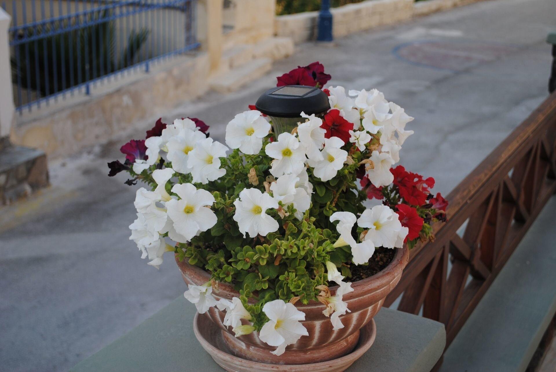 Chez Sophie, rooms & suites by null