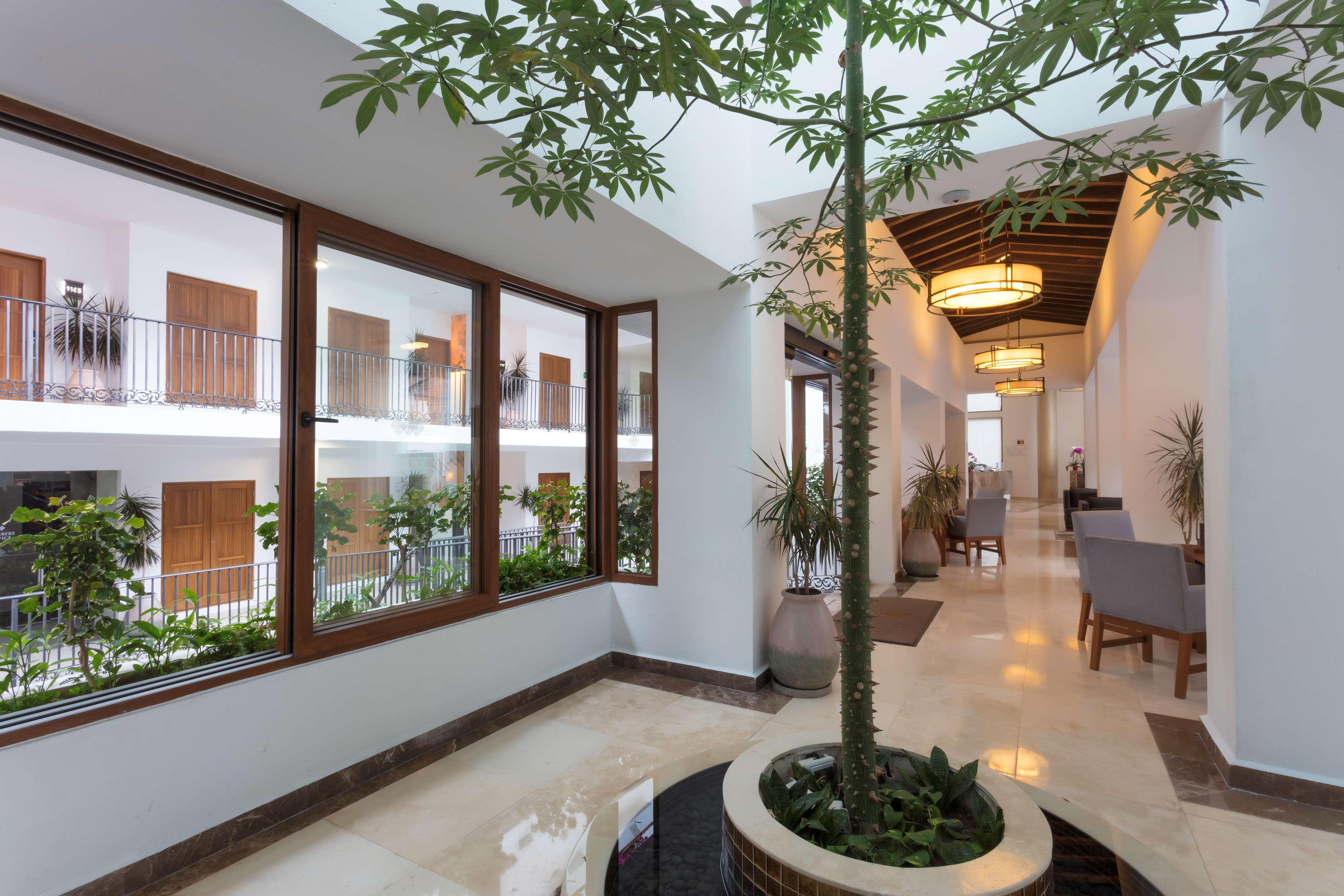 Almar Resort Luxury LGBT Beach Front Experience by null