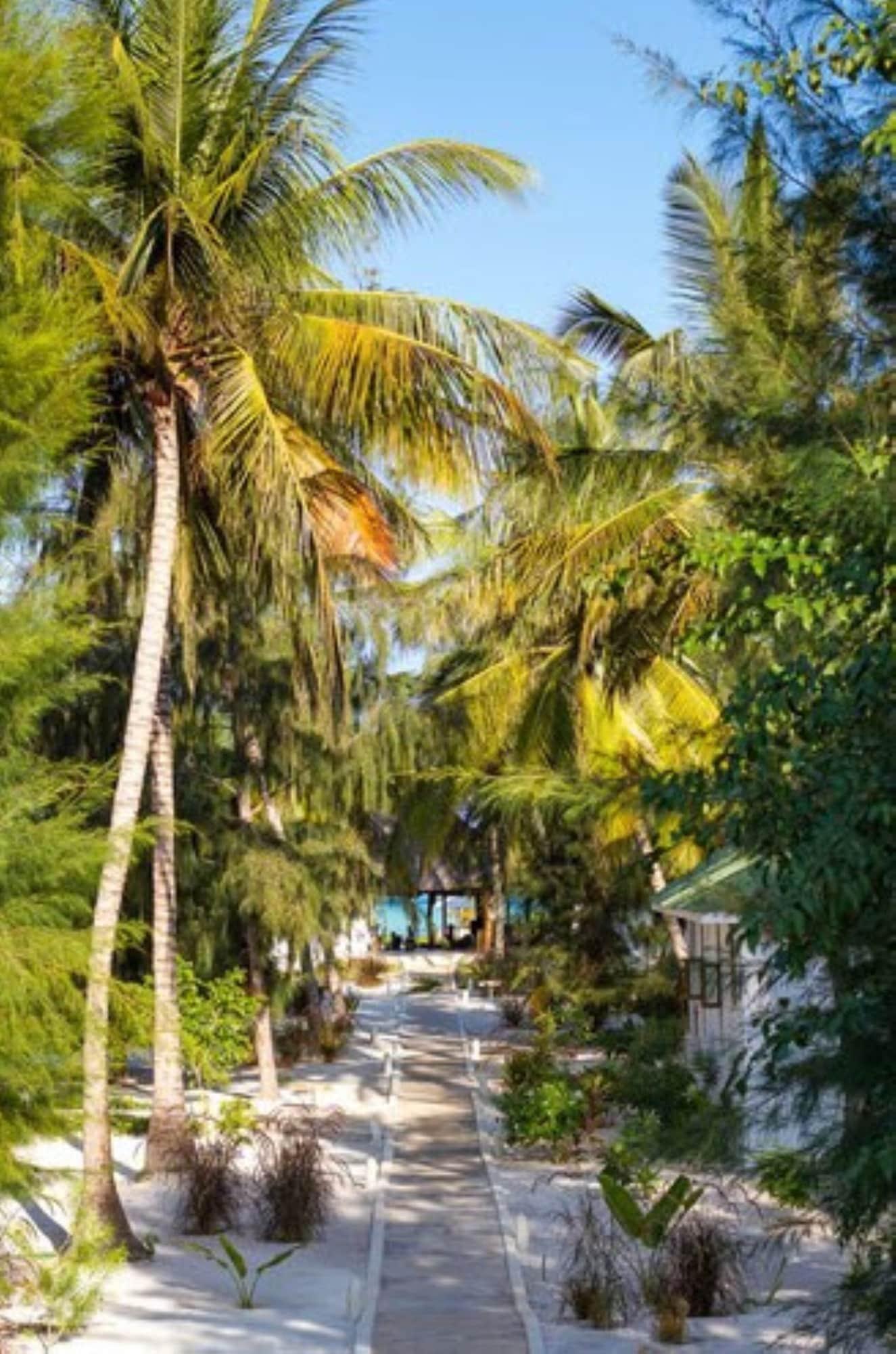 Kisiwa on the Beach