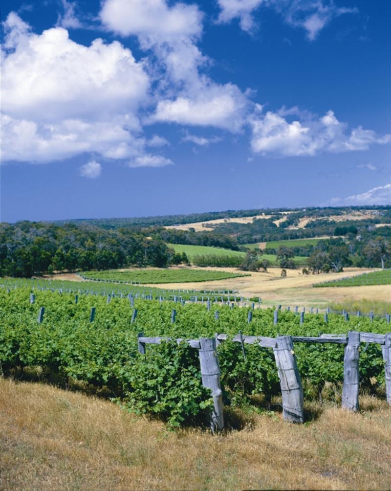 Dunsborough Central by null