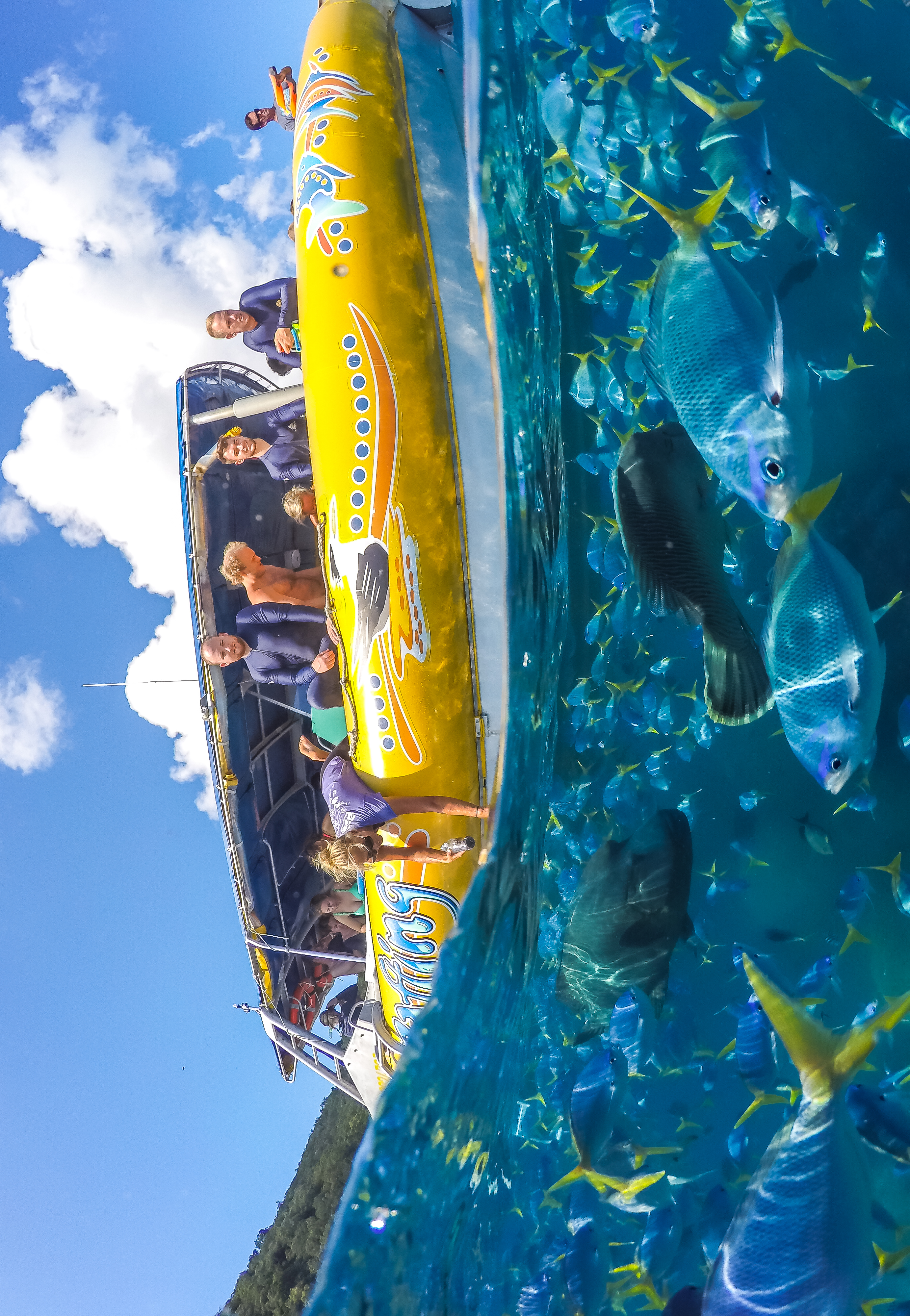 Heart Hotel and Gallery Whitsundays by null