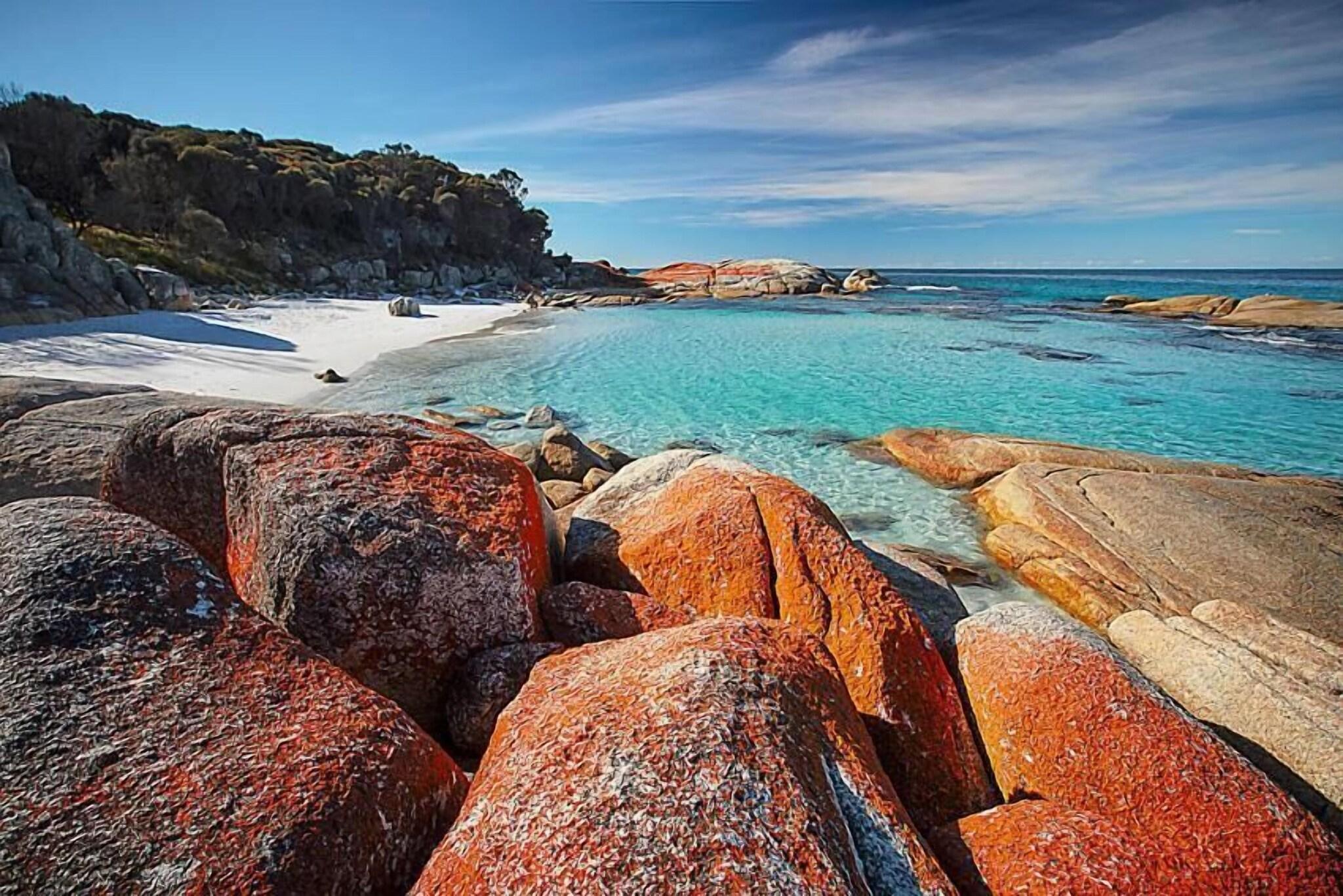 Georges Bay Apartments by null