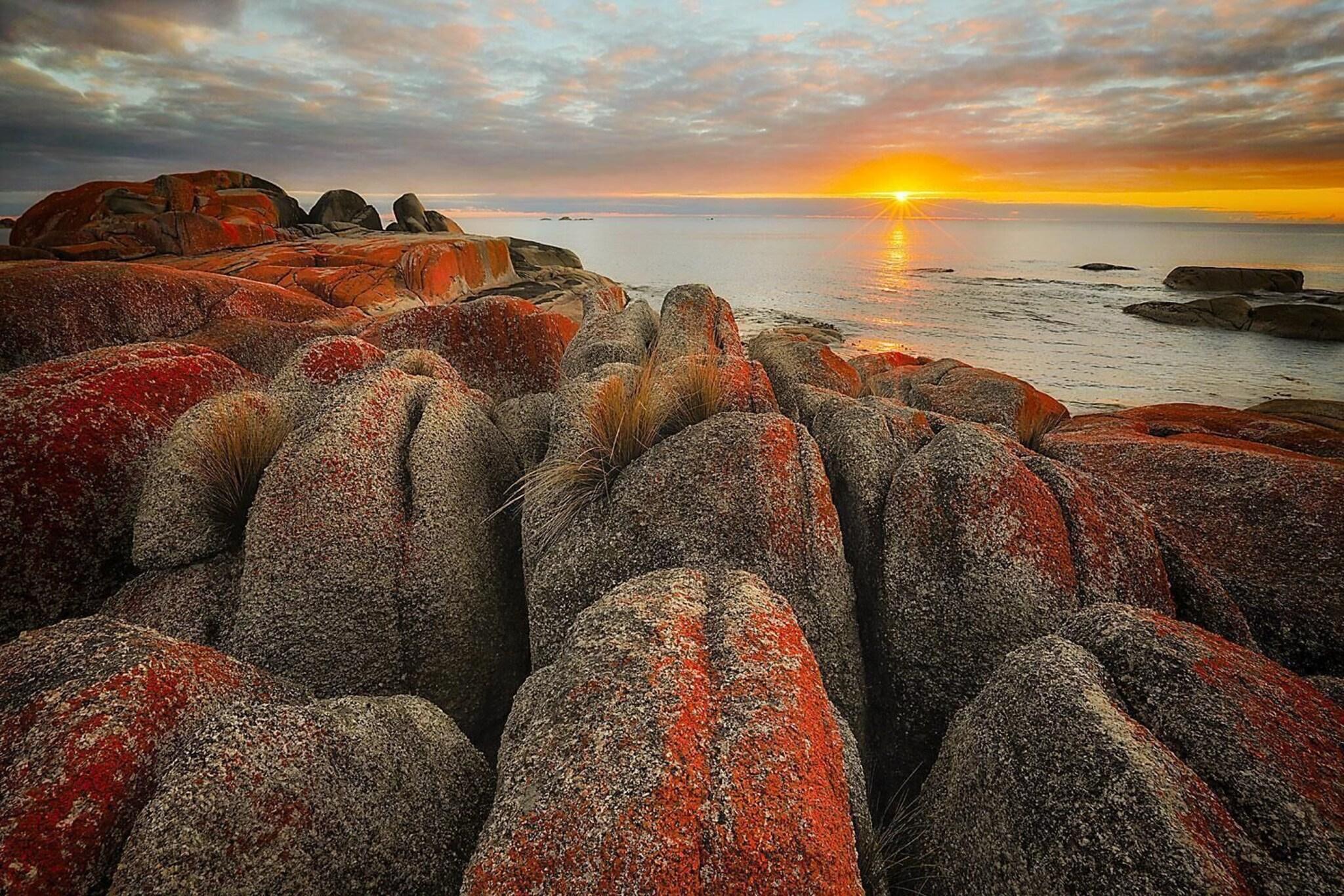 Georges Bay Apartments by null