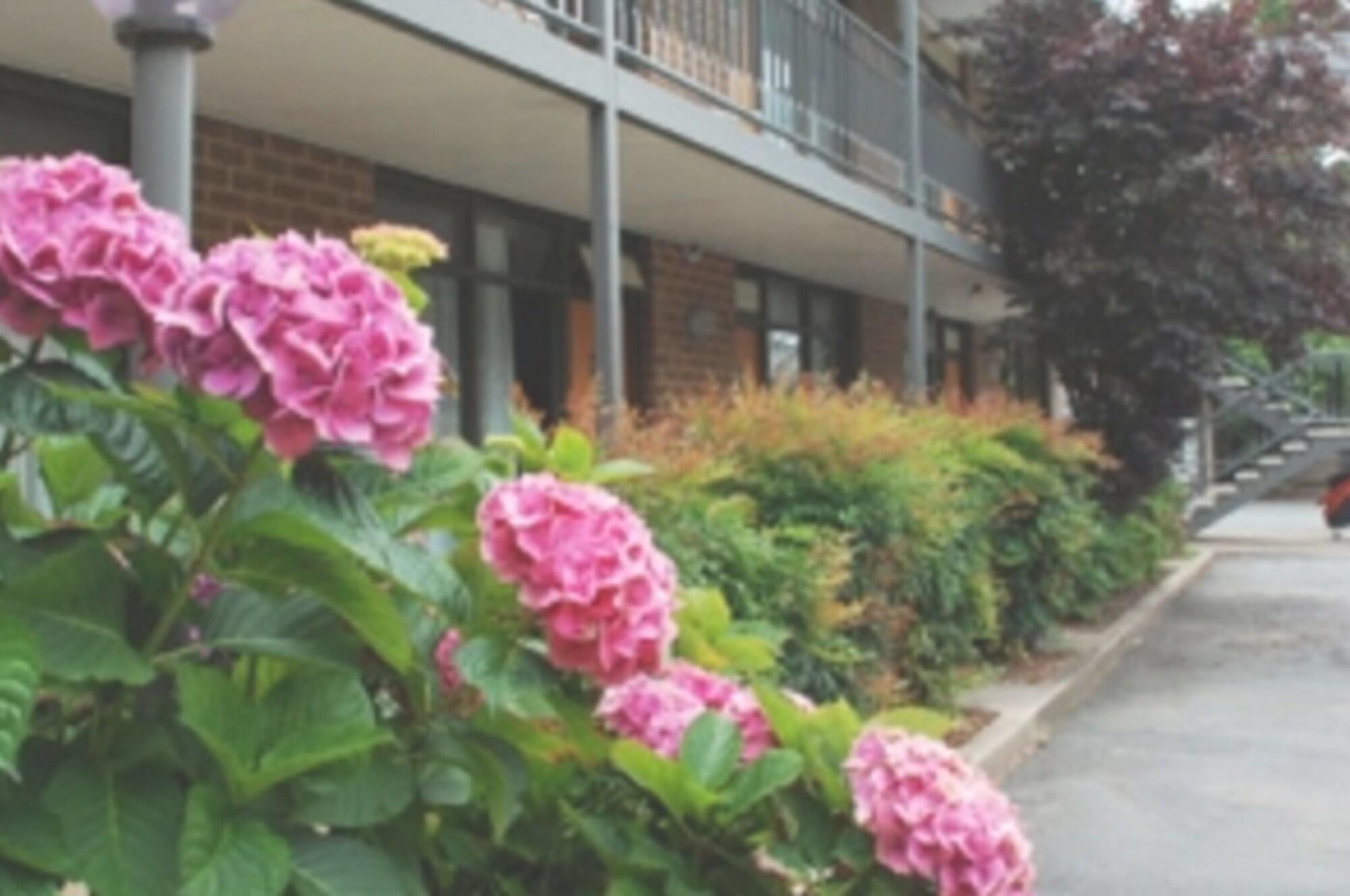 Red Cedars Motel by null