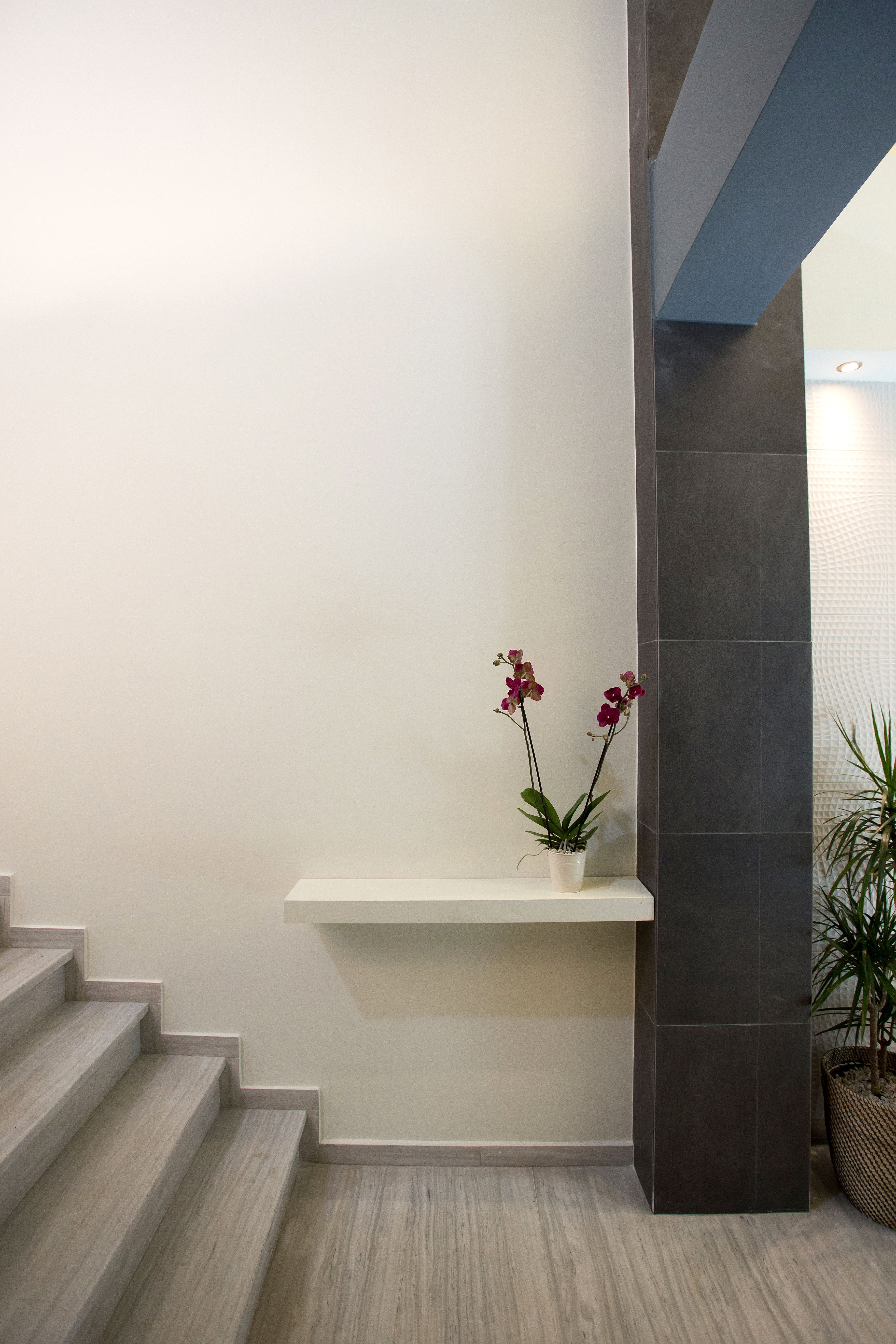 Polis Apartments - photo