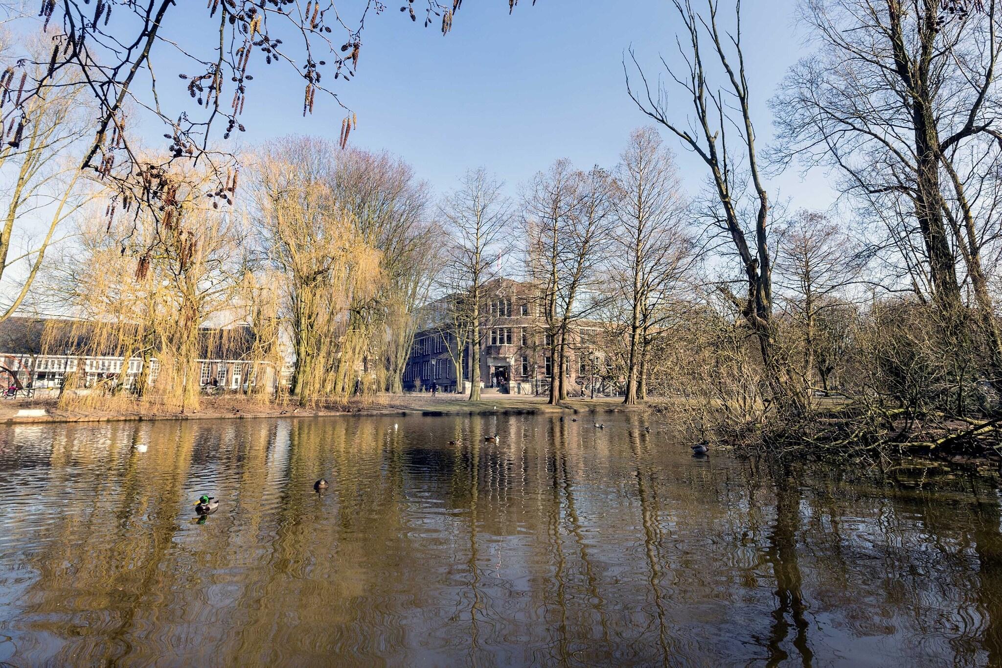 Generator Amsterdam by null