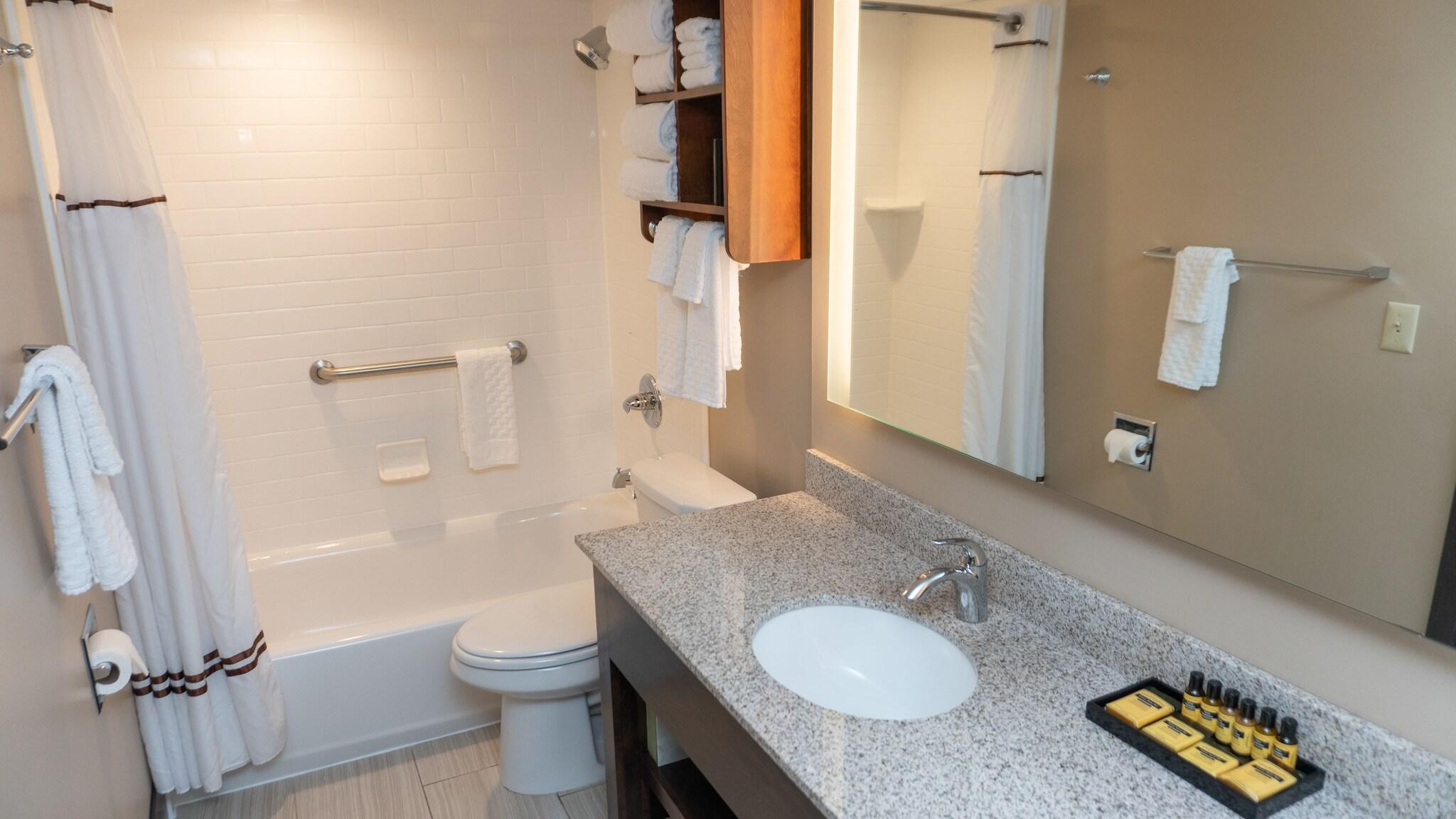 Radisson Hotel St. Paul Downtown by null