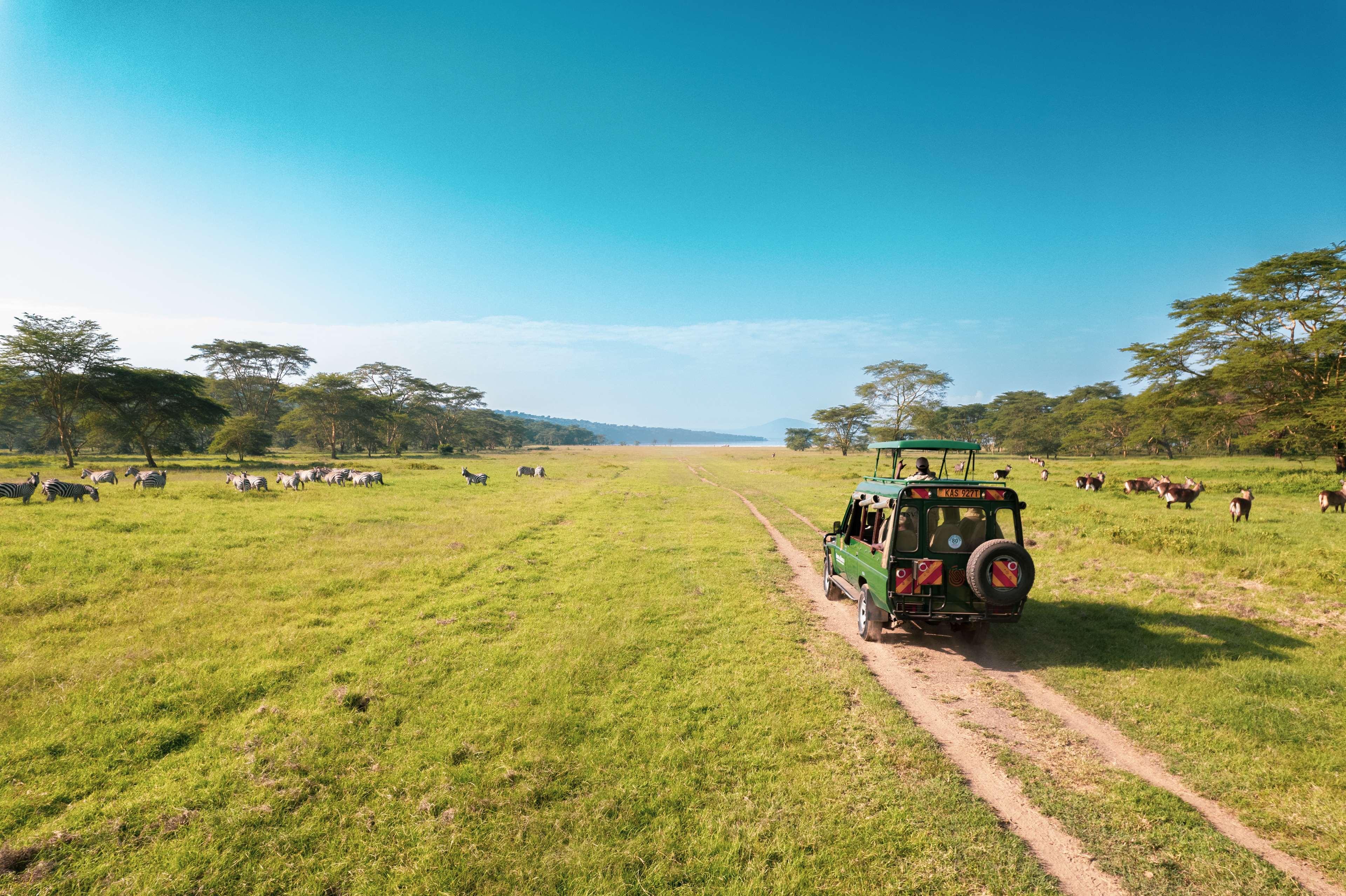 Lake Elmenteita Serena Camp by null