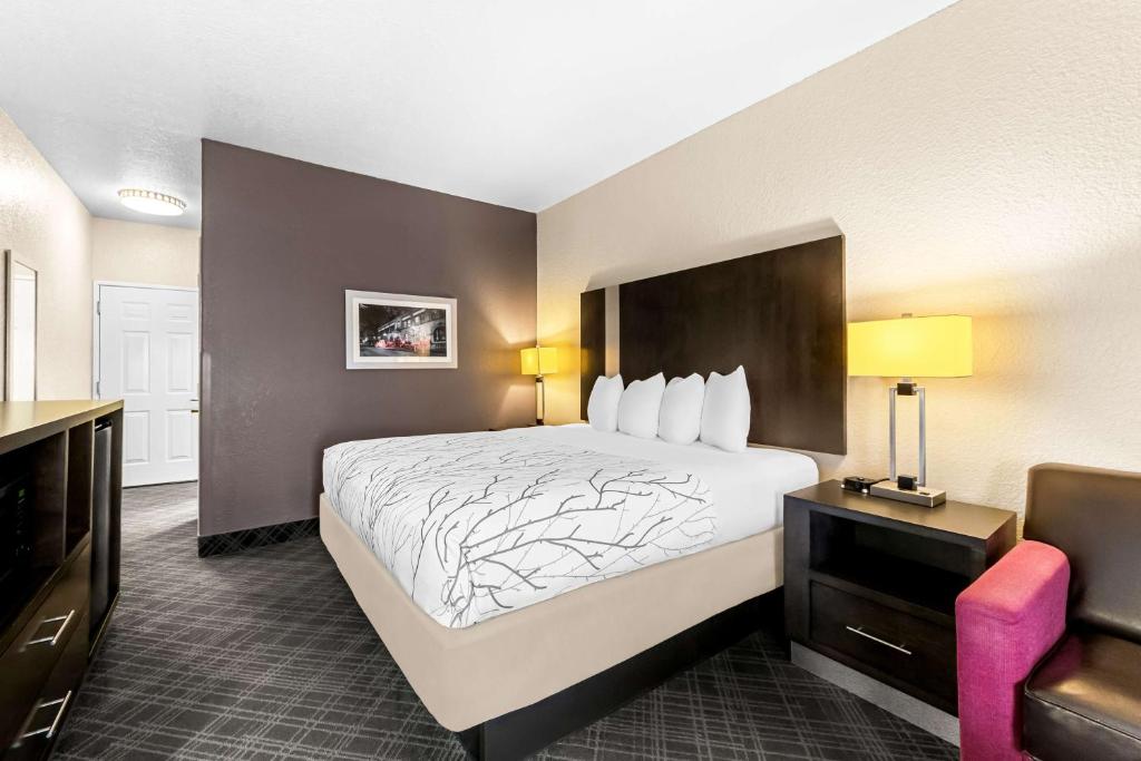 Best Western Boerne Inn & Suites