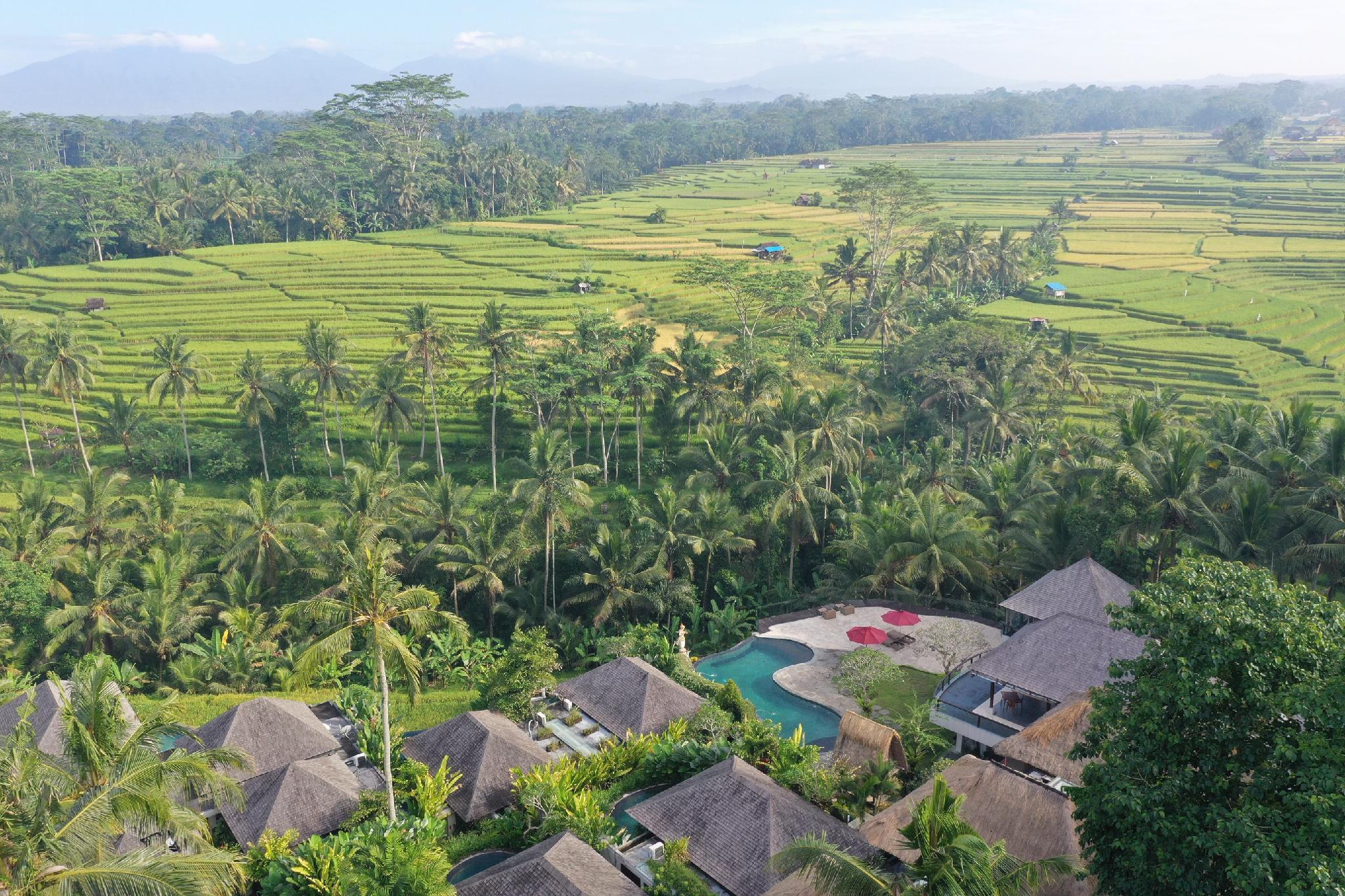 Puri Sebali Resort Ubud - nuotrauka