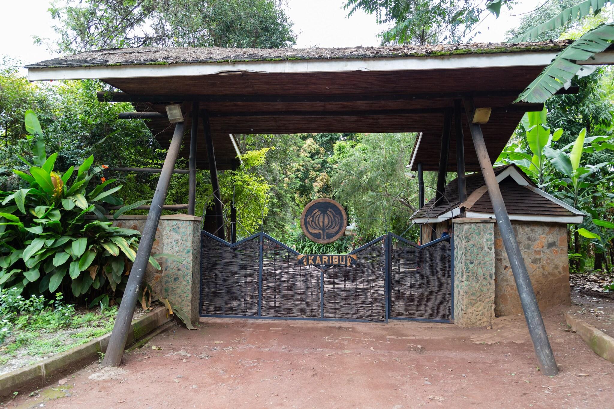 Aishi Machame Hotel by null