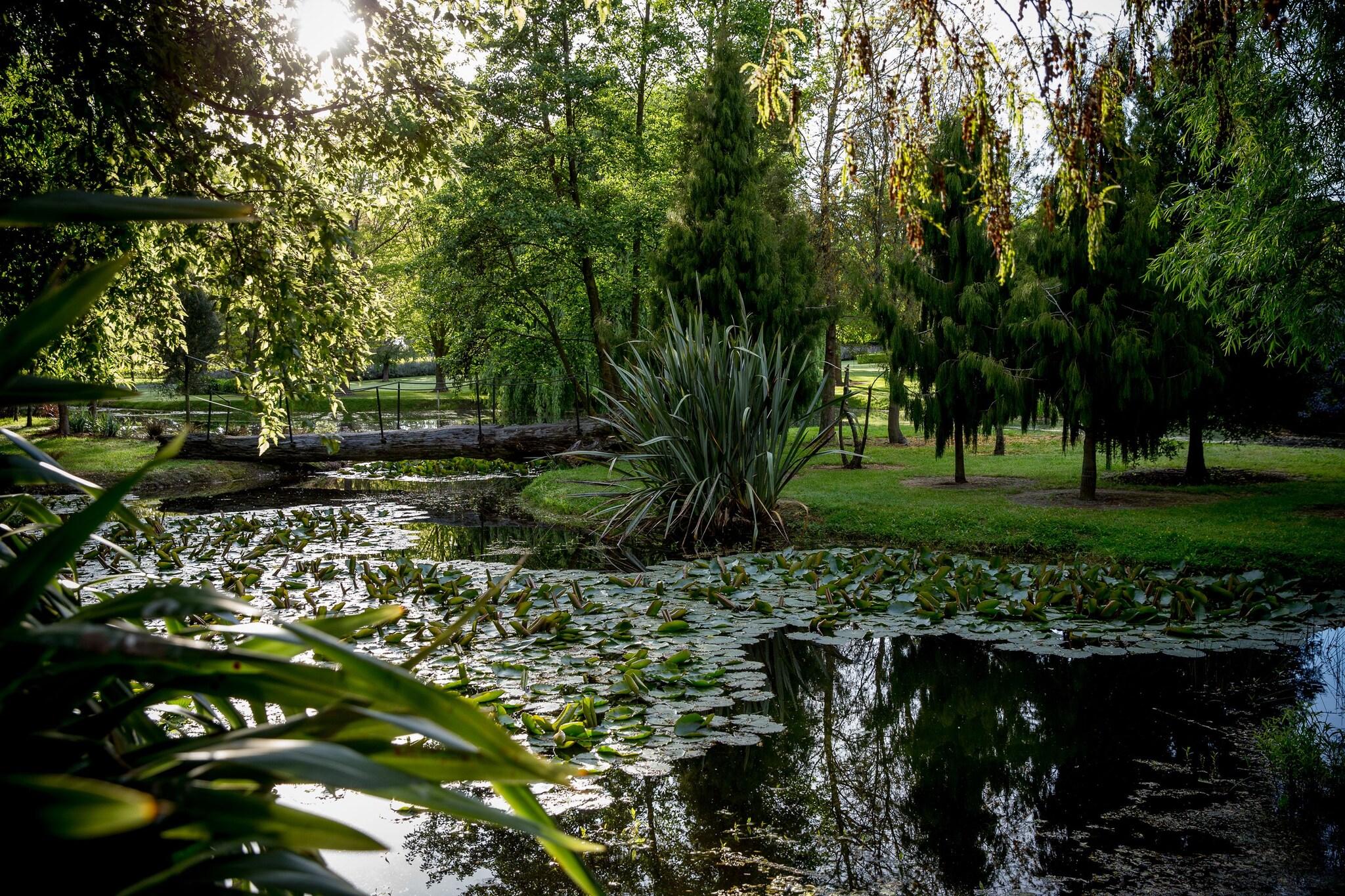 The Marlborough Boutique Hotel & Vineyard by null