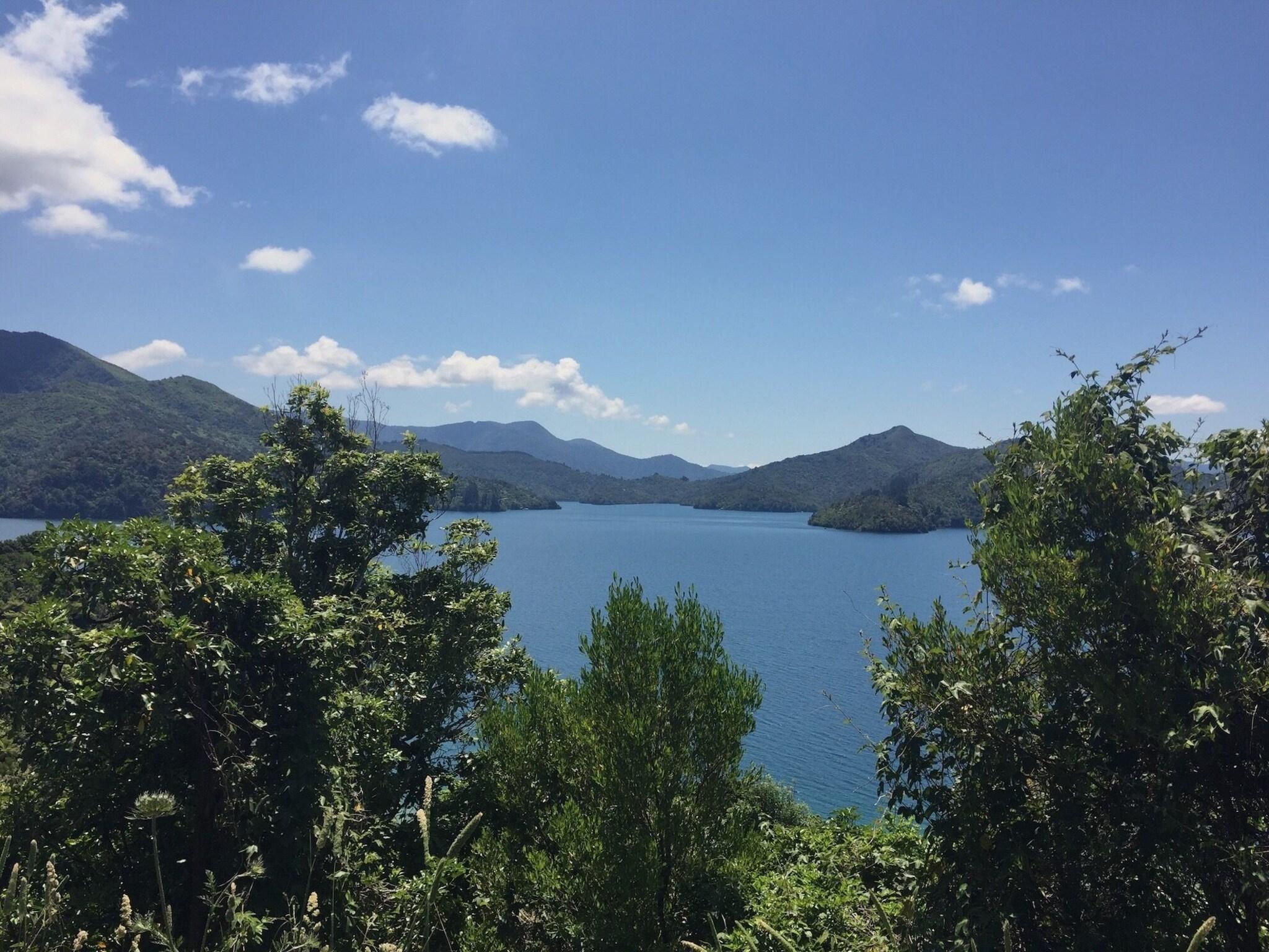 The Marlborough Boutique Hotel & Vineyard by null