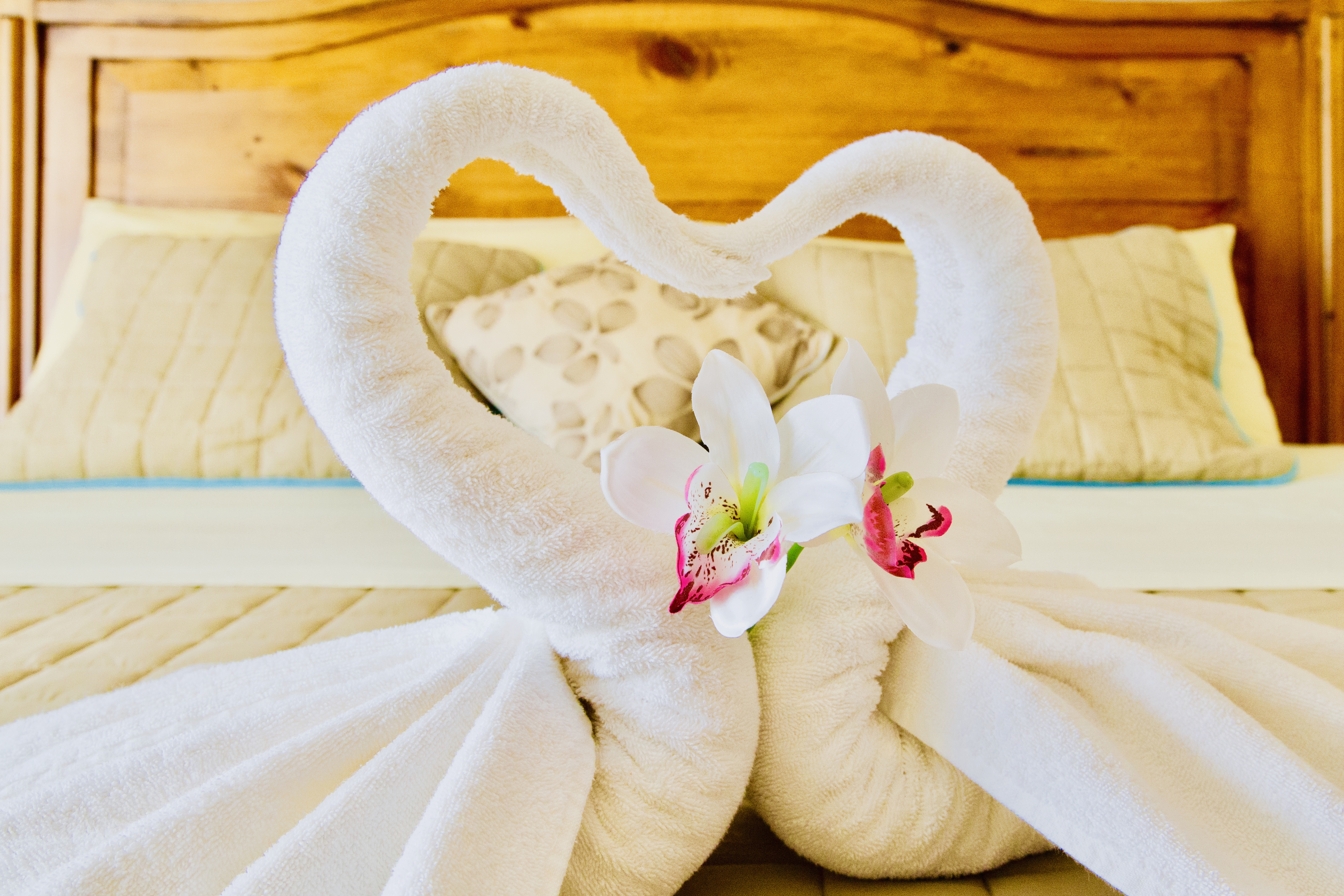 Dolce Vita Caribe B&B