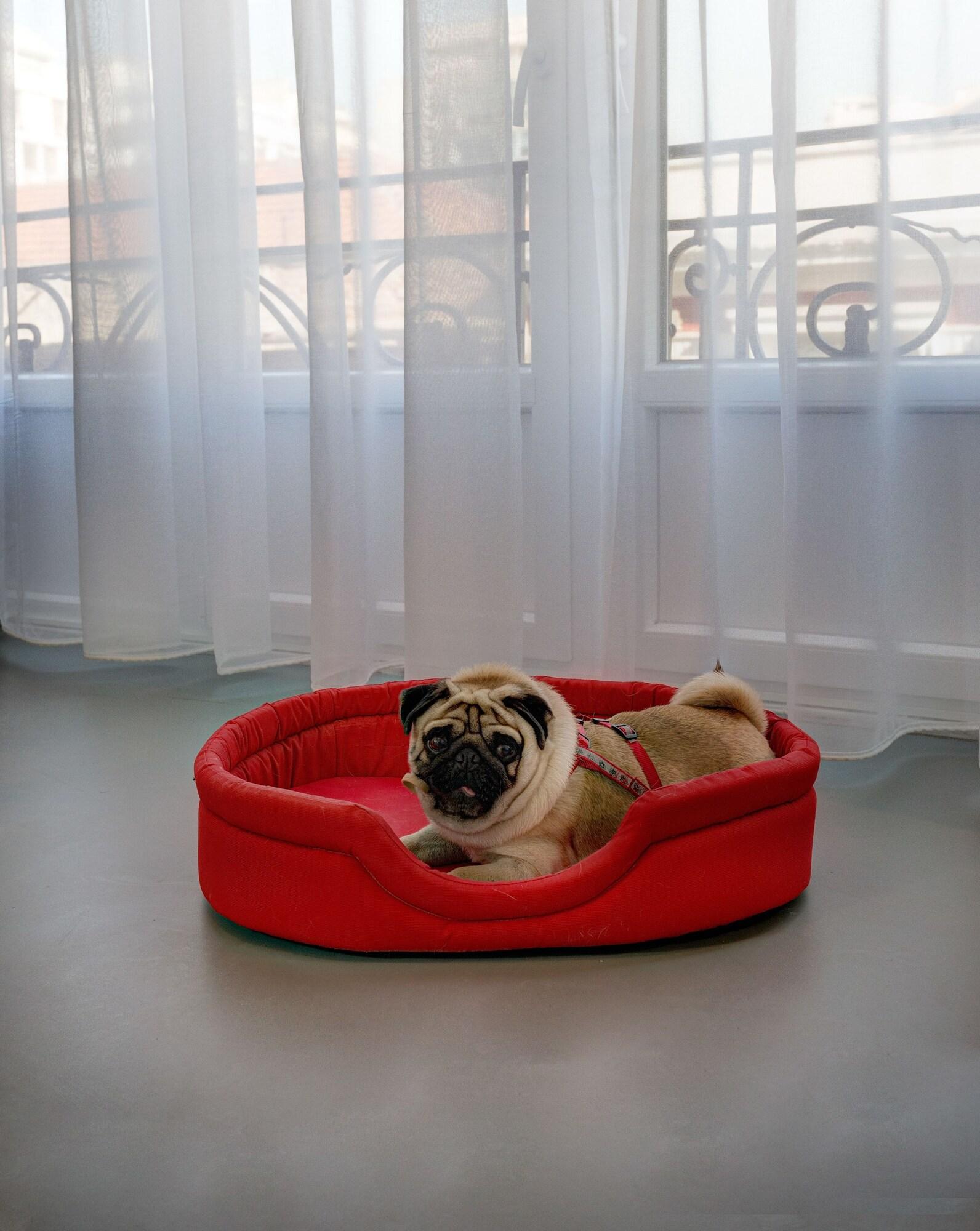 Colors Urban Hotel - nuotrauka