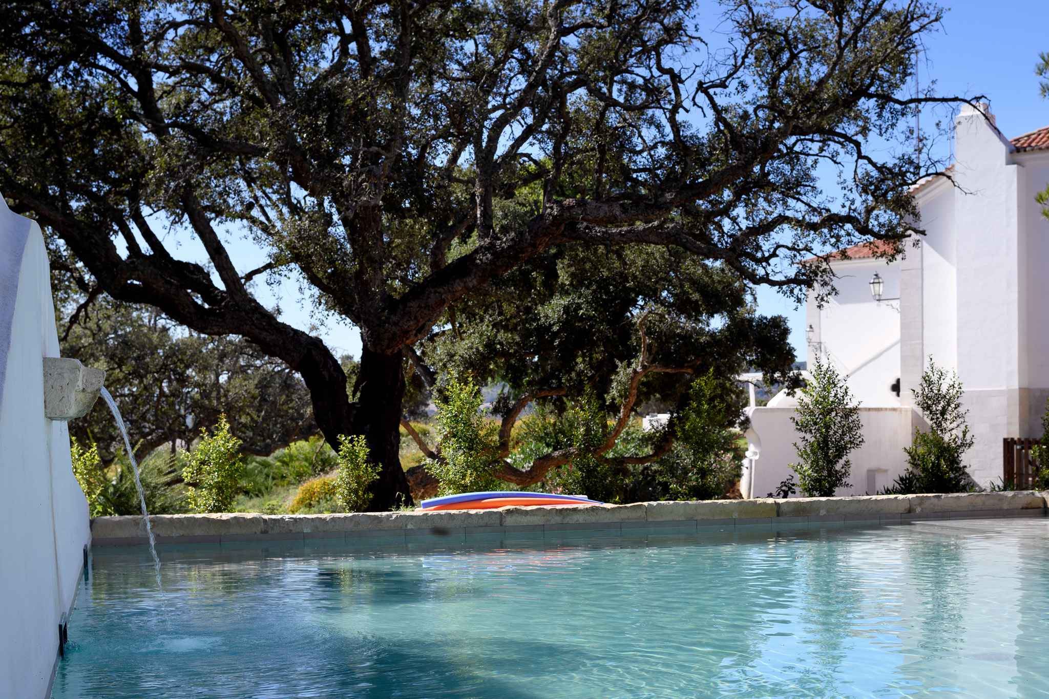 Hotel Casa Palmela by null