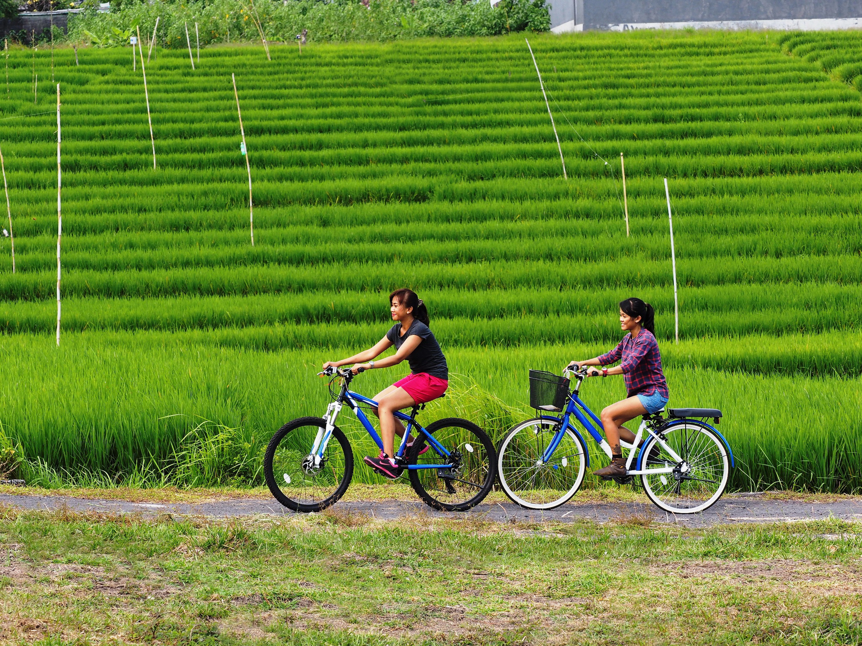 The Santai Umalas by LifestyleRetreats - Poză