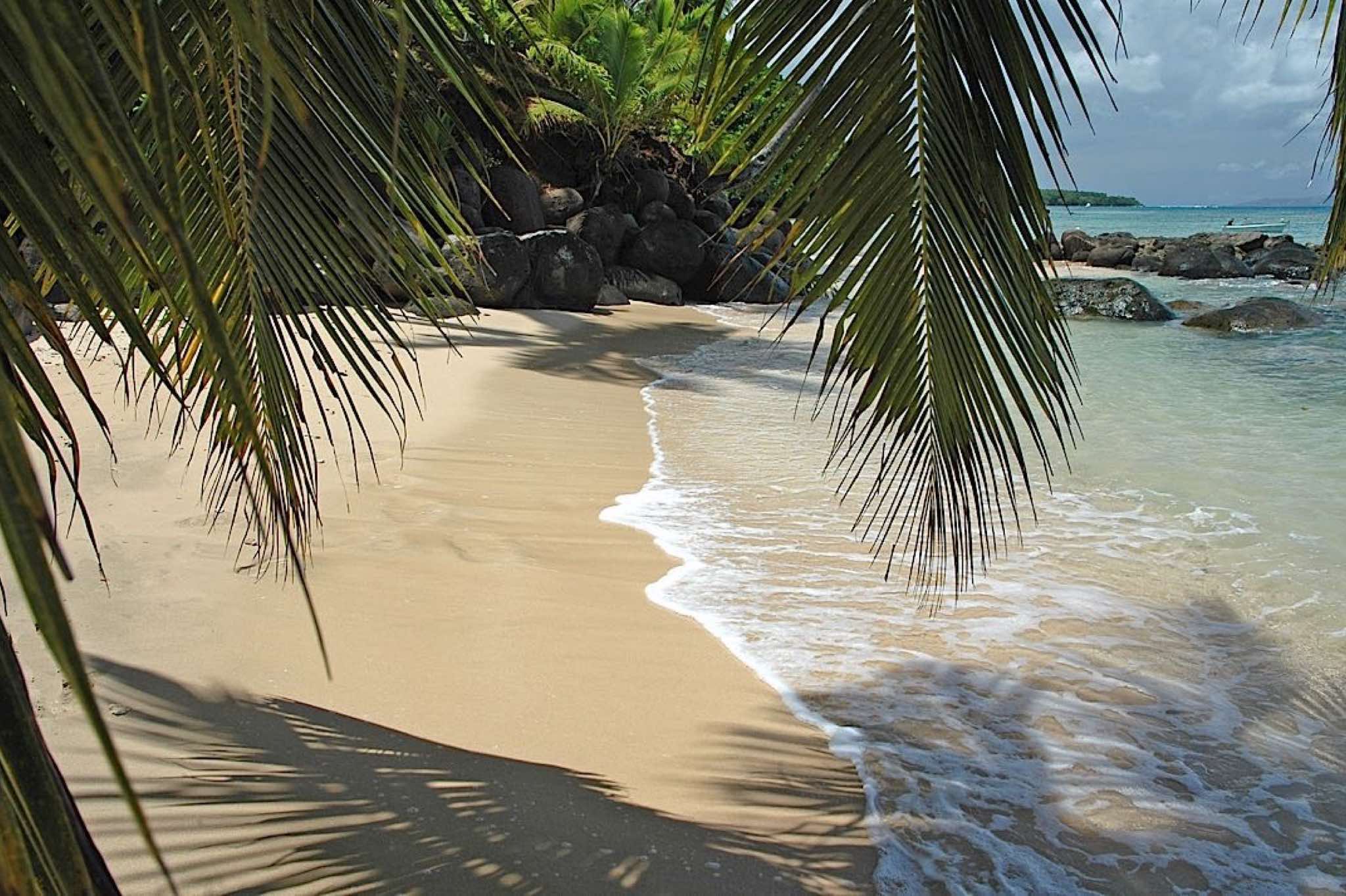 Fotografija Taveuni Beach z svetel fin pesek površino