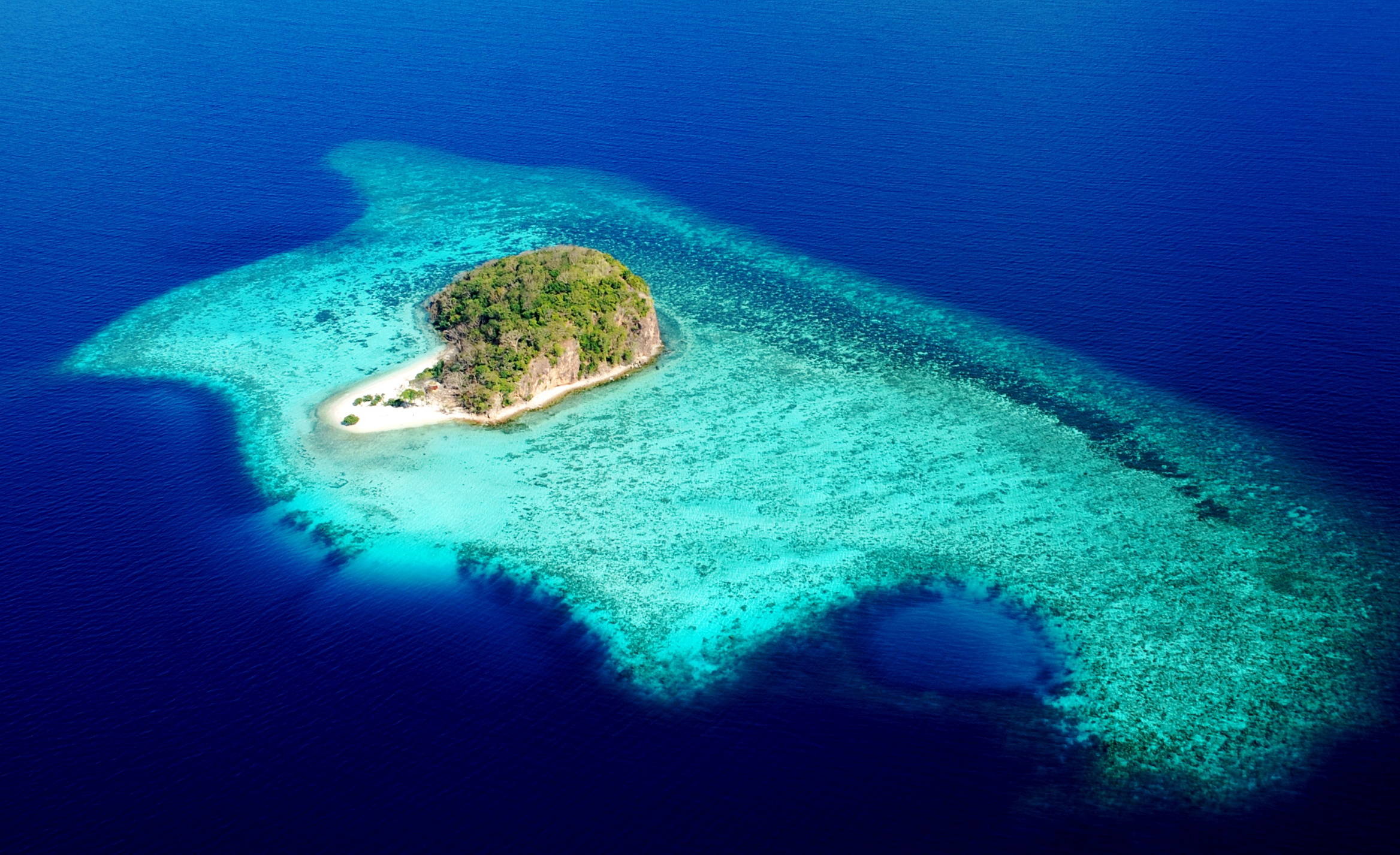 The Funny Lion - Coron by null