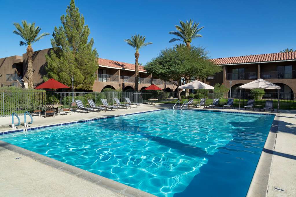 Borrego Springs Resort Golf Club & Spa: Mesquite