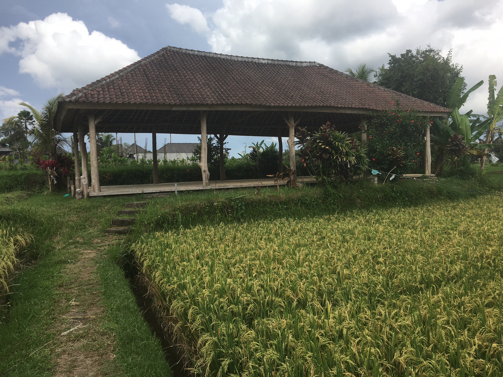 MATHIS Retreat Ubud - nuotrauka