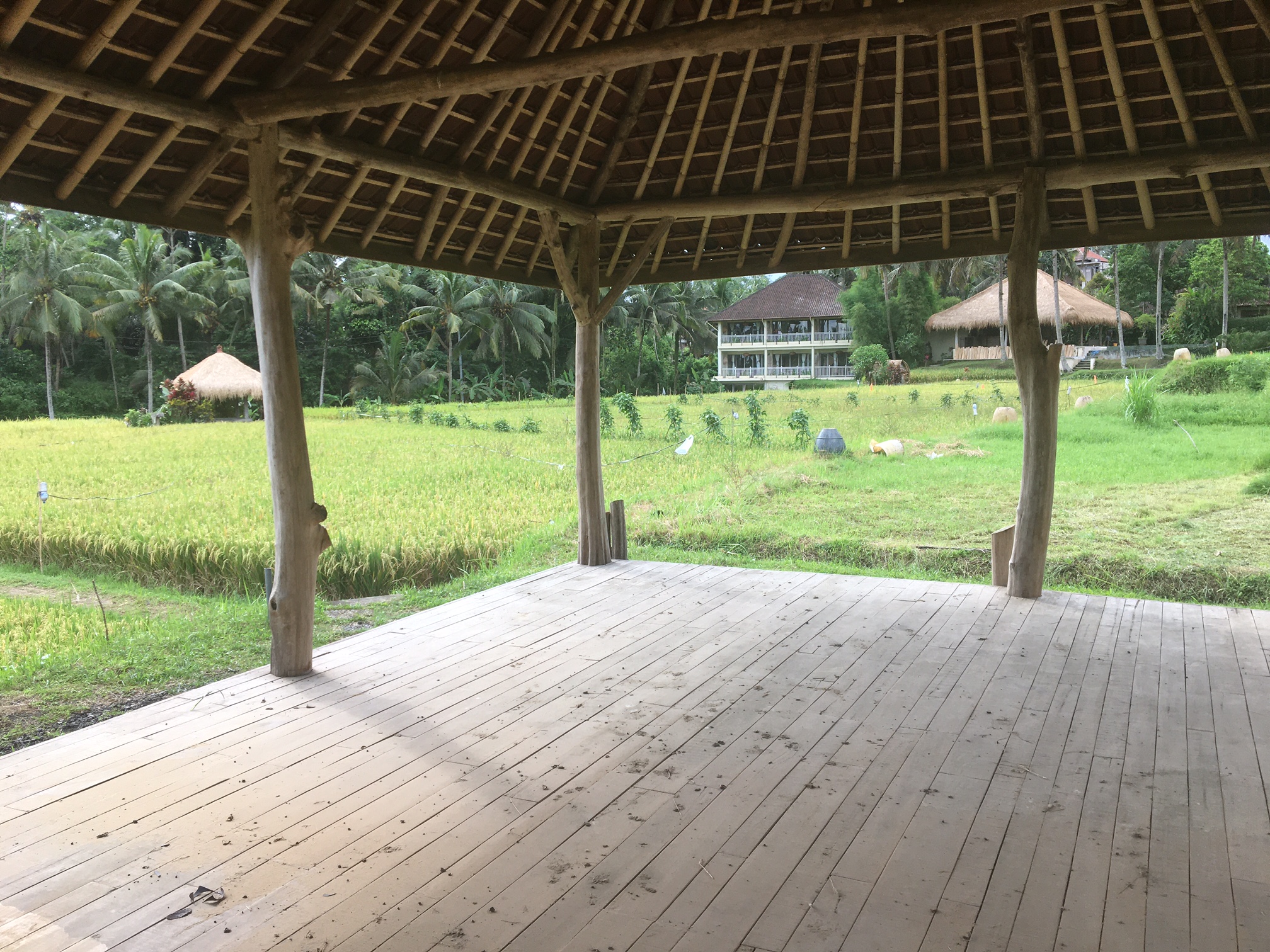 MATHIS Retreat Ubud - nuotrauka