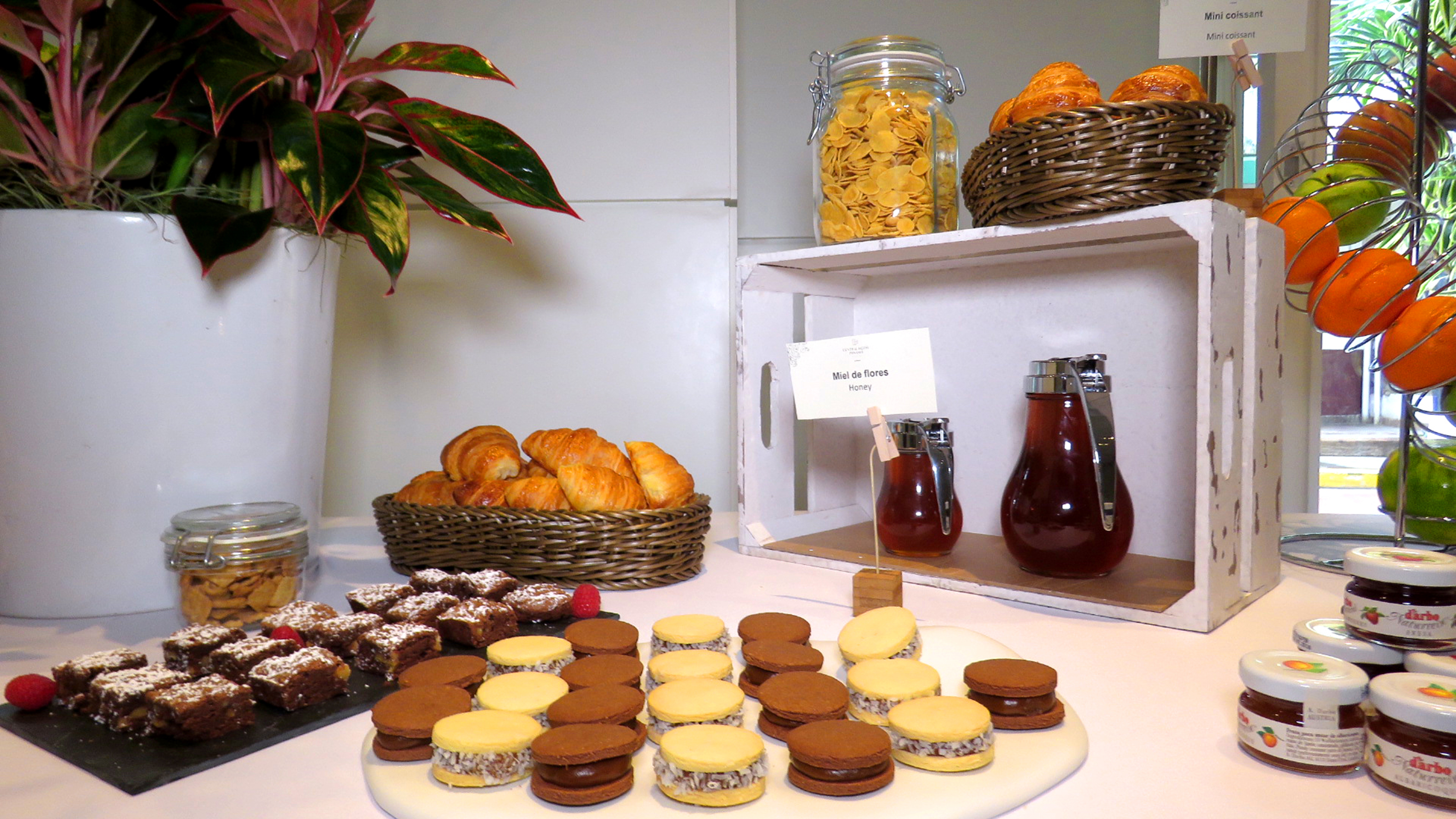 Central Hotel Panamá Casco Viejo by null