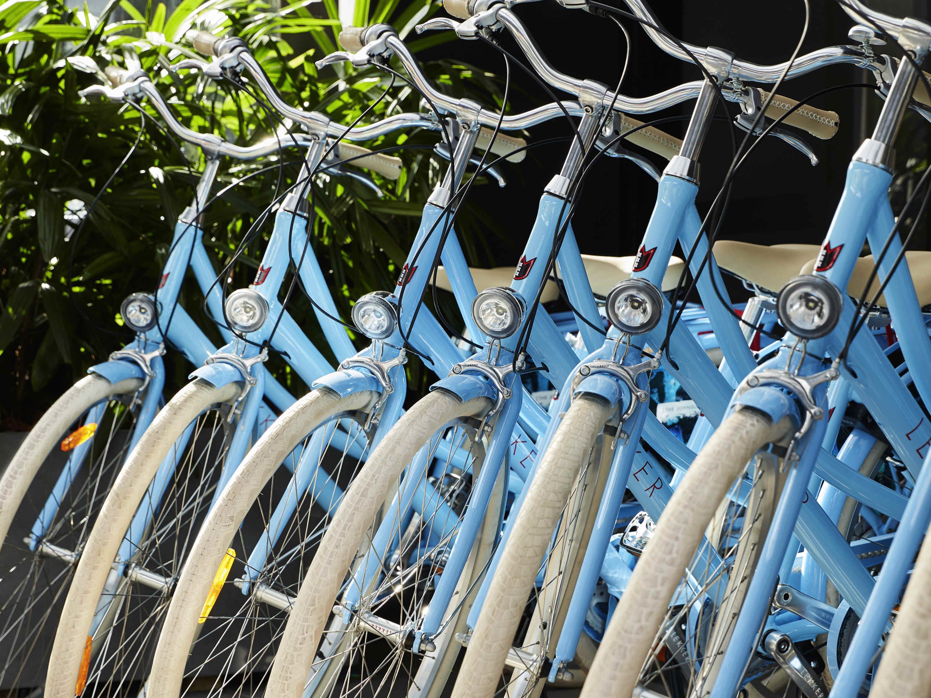 The Johnson Brisbane - Art Series by null