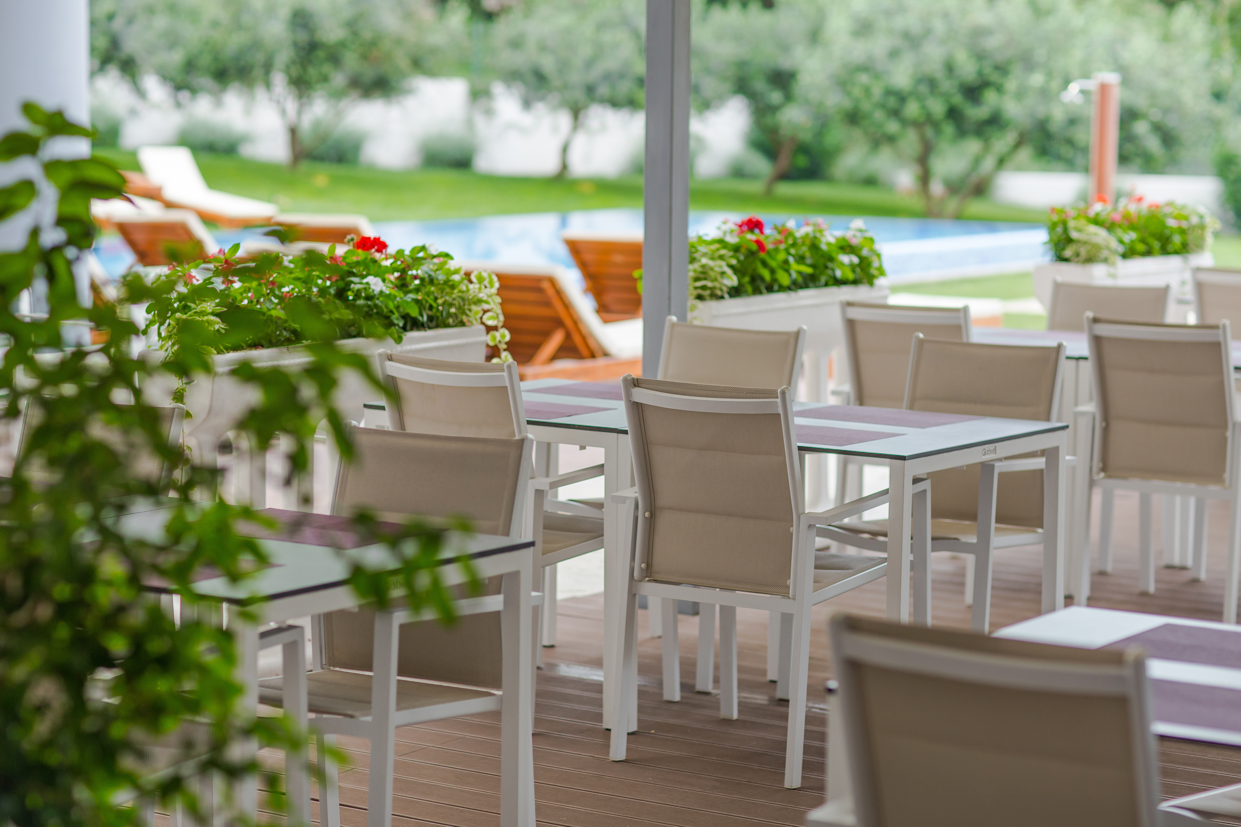 Salona Palace - Poză