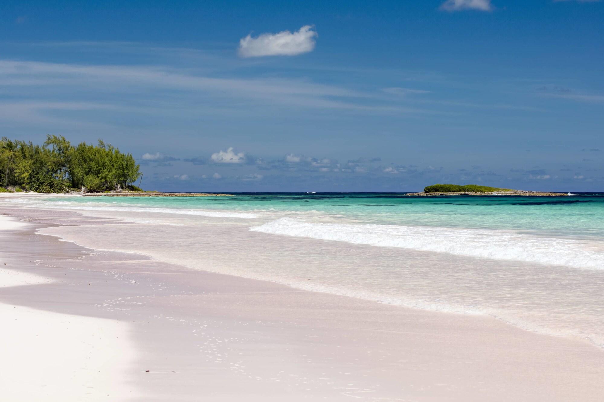 French Leave Resort, Autograph Collection by null