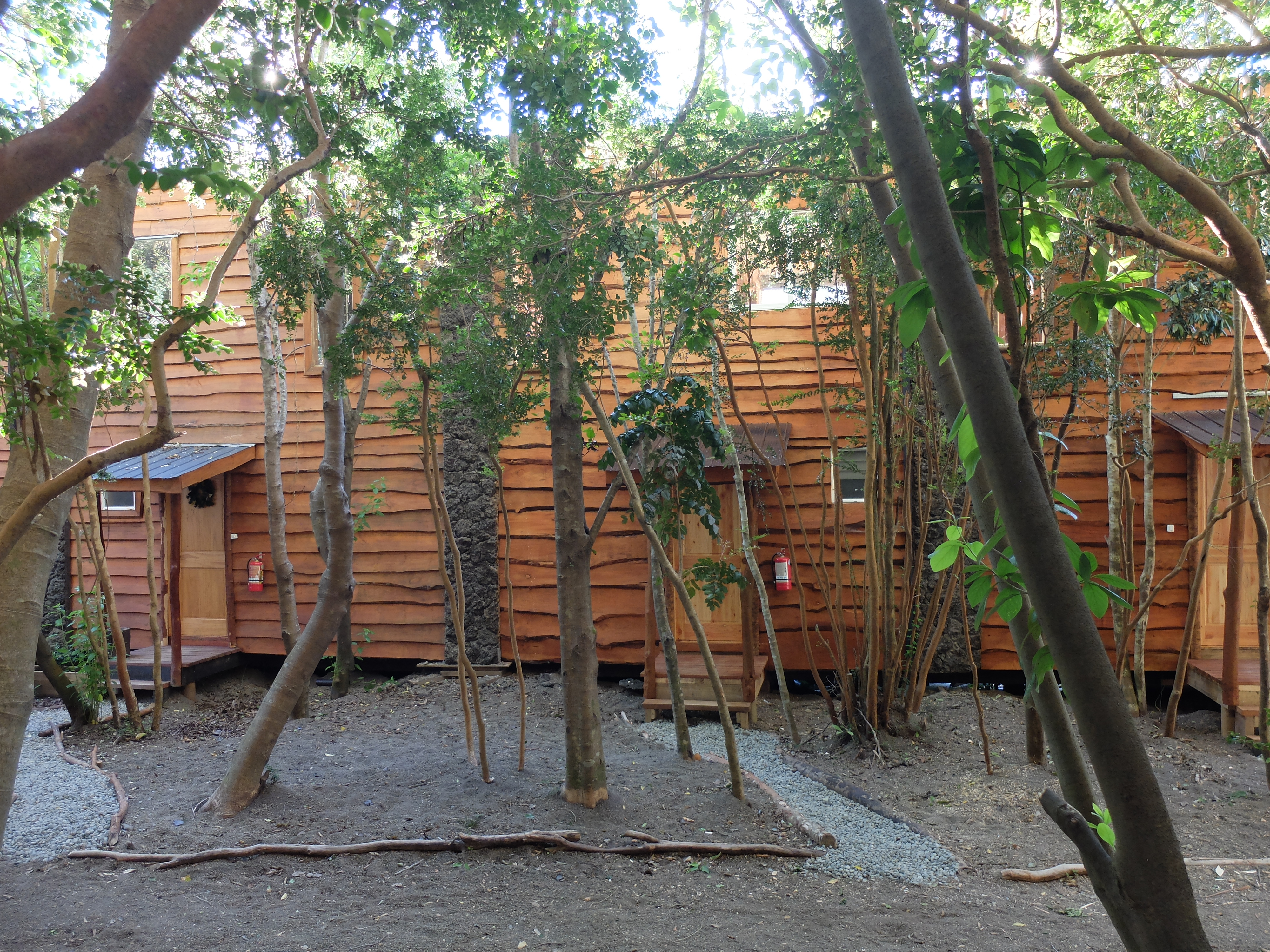 Cabañas Ensenada Bosque Nativo