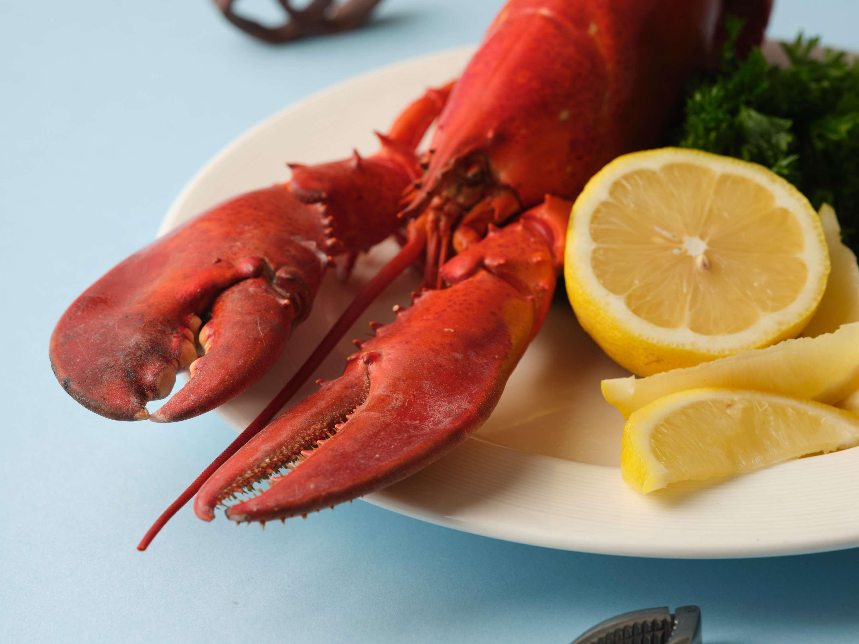 Sofitel Kuala Lumpur Damansara by null