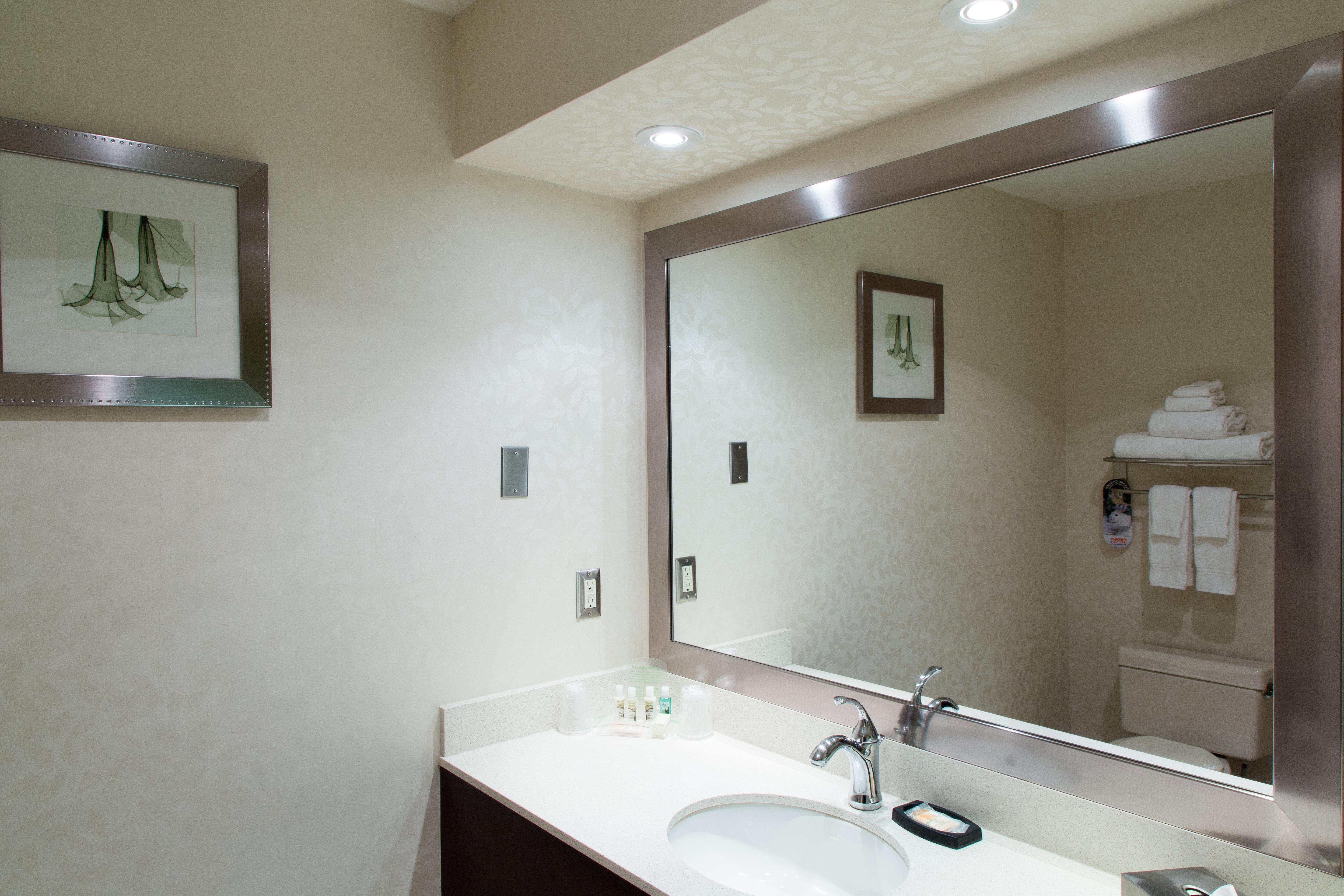 Holiday Inn & Suites Windsor (Ambassador Bridge)