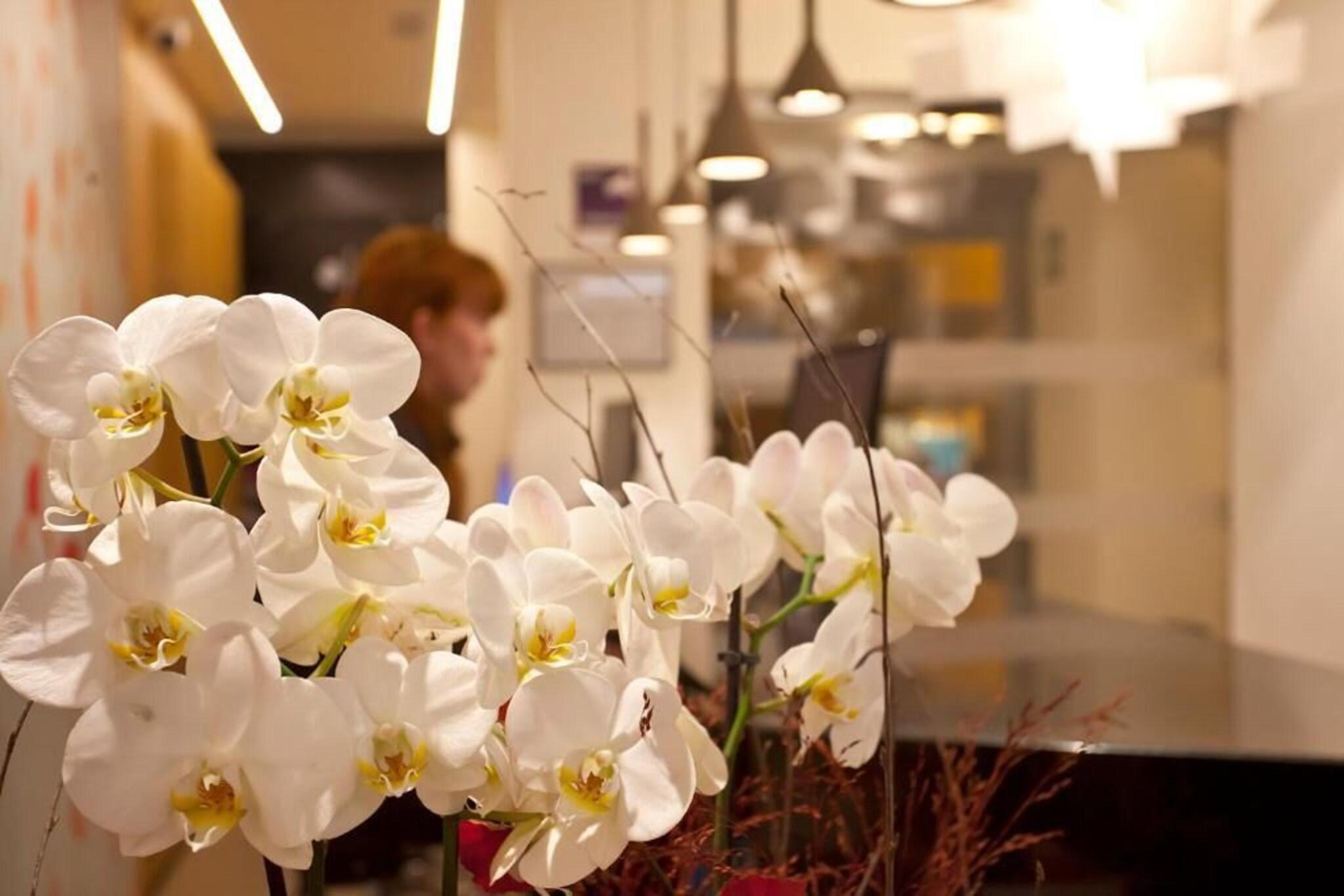 Hotel Pompaelo Urban Spa **** by null