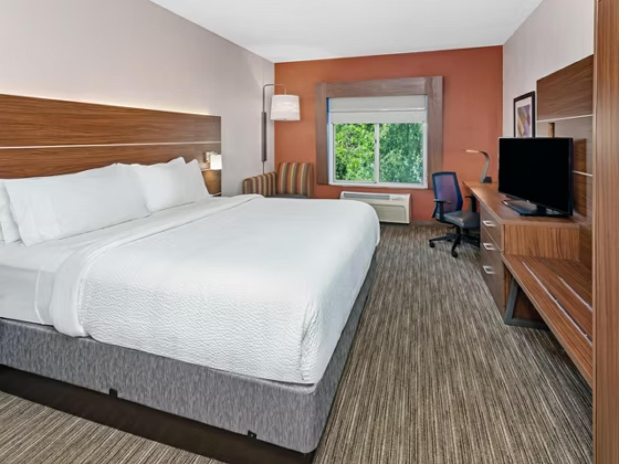 Holiday Inn Express & Suites Chicago South Lansing