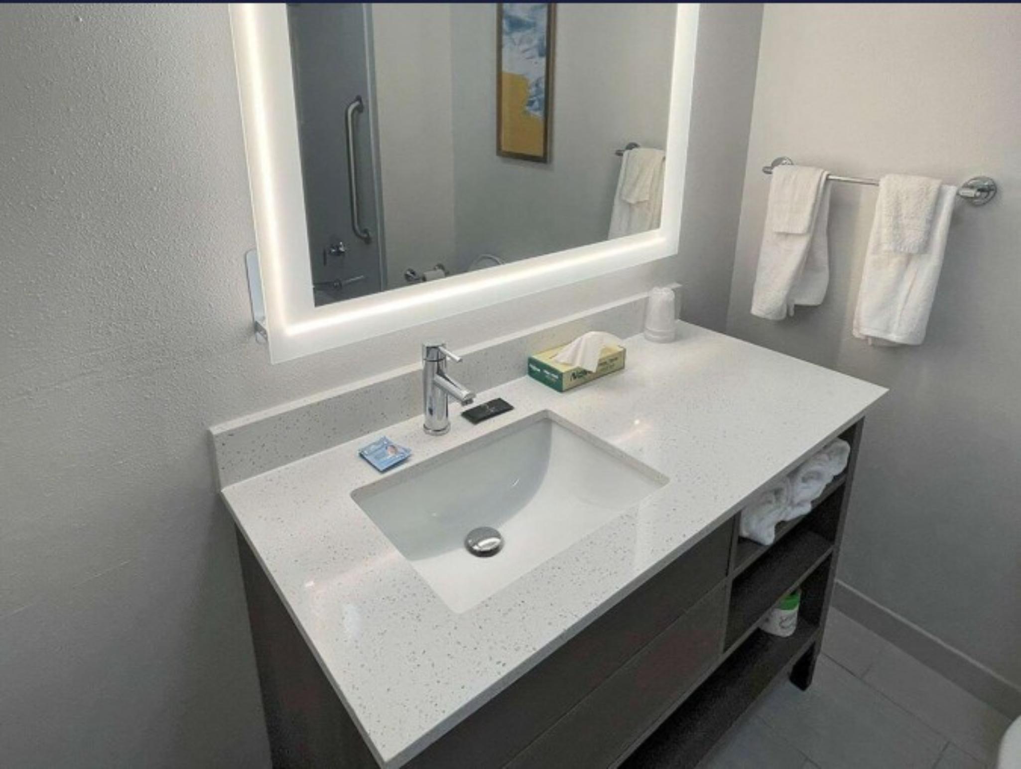 Comfort Suites Mobile-South Alabama University Are