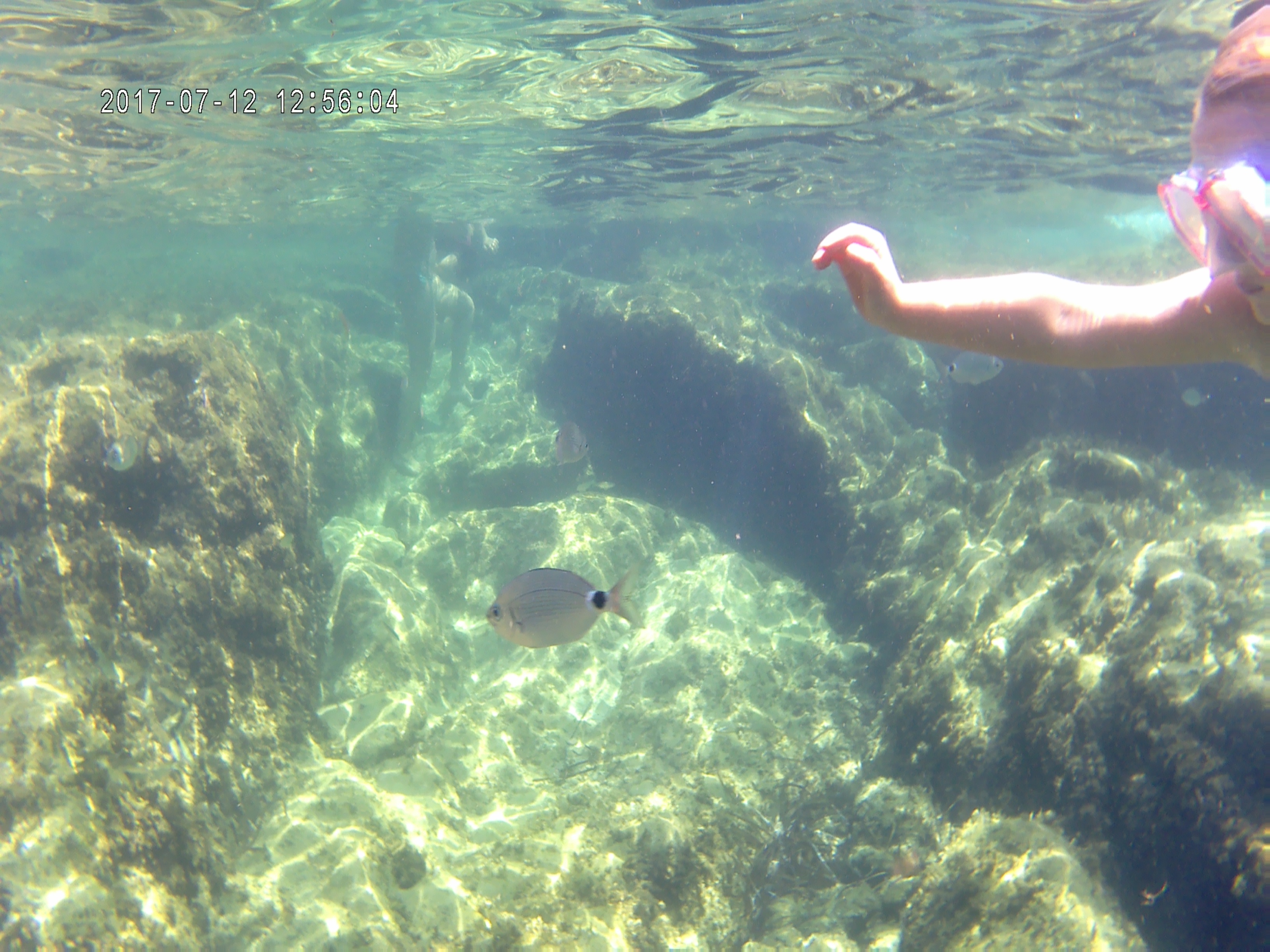 Finca Can Estades by null