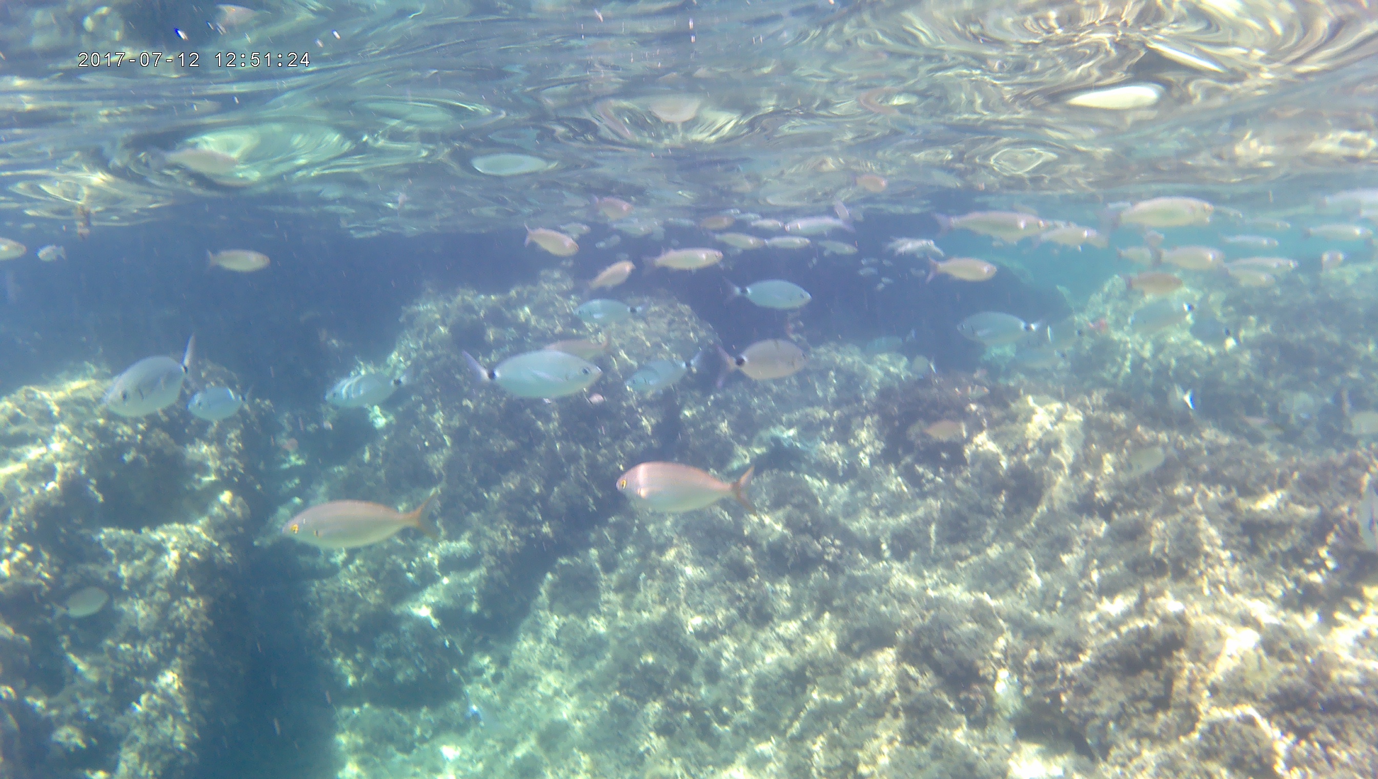 Finca Can Estades by null