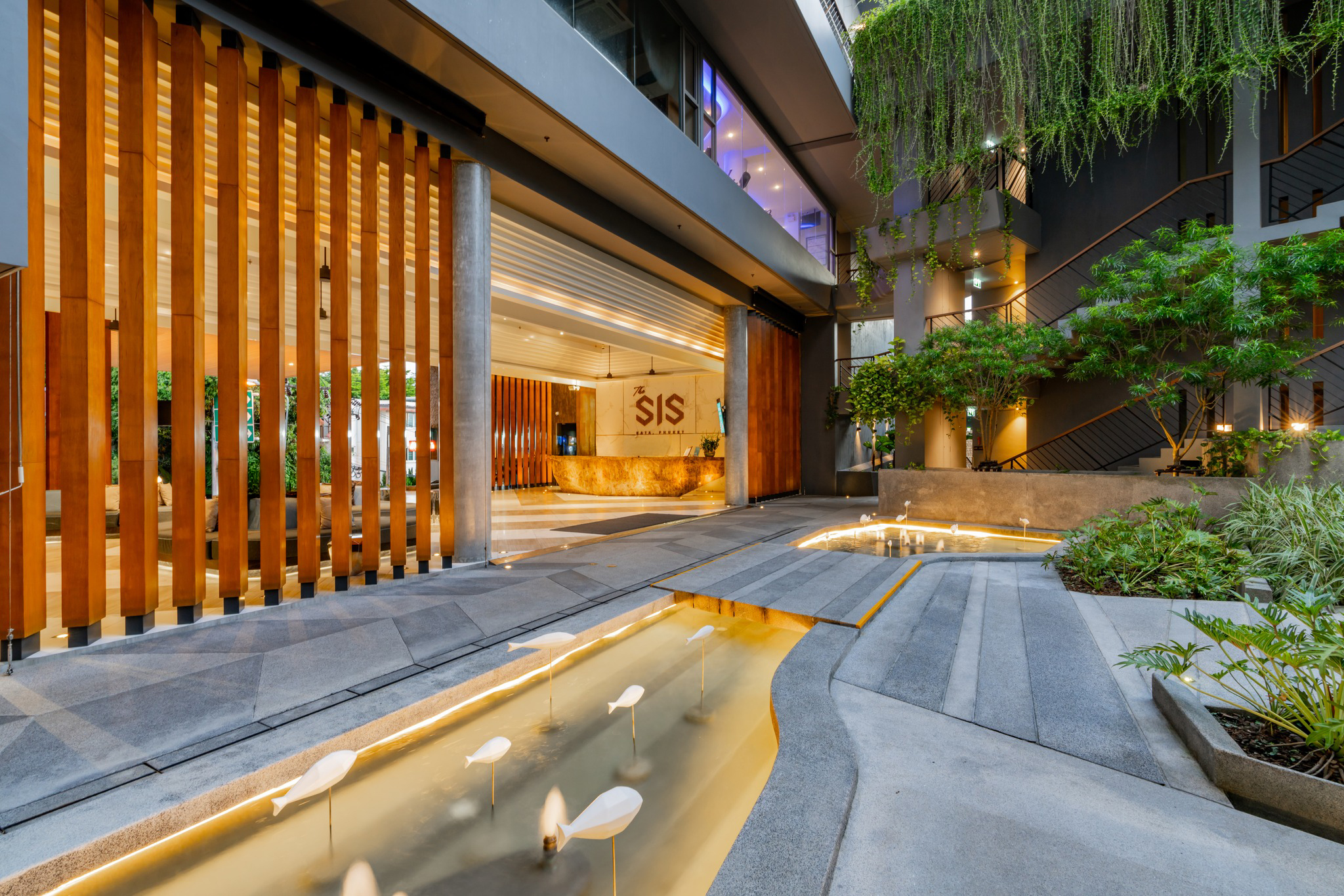 The SIS Kata - фото