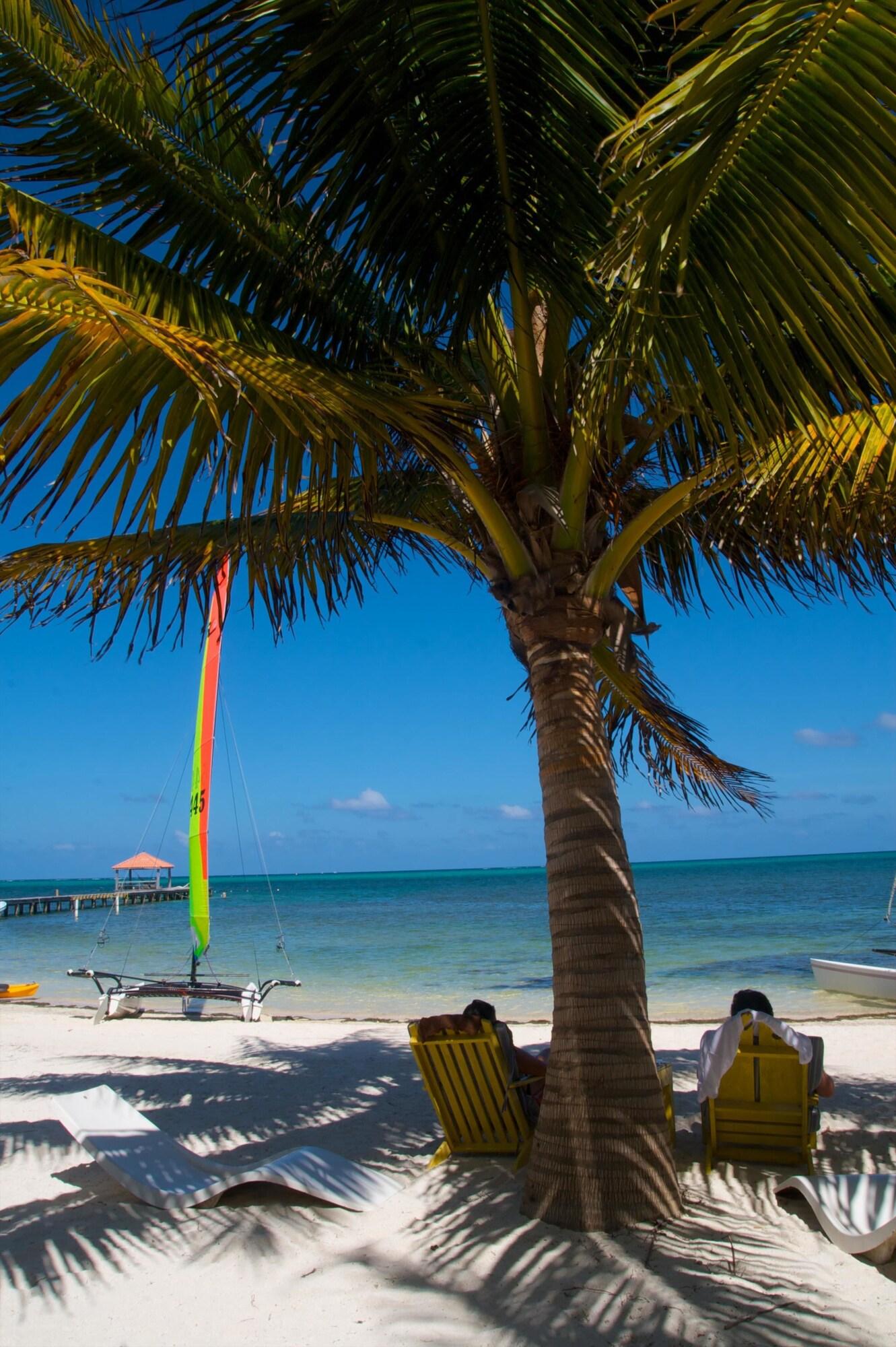 Caribbean Villas Hotel by null
