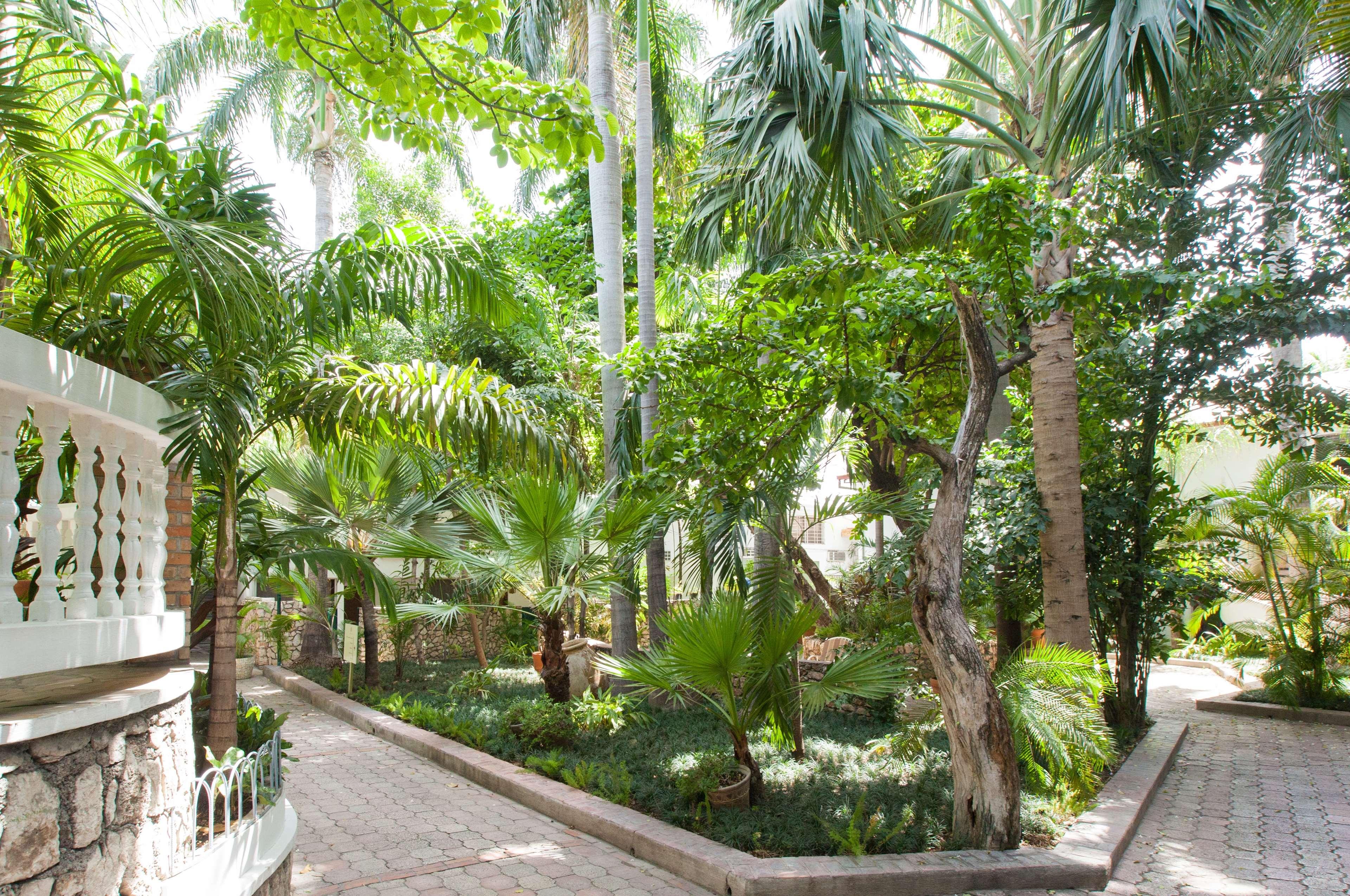 Le Plaza Hotel by null