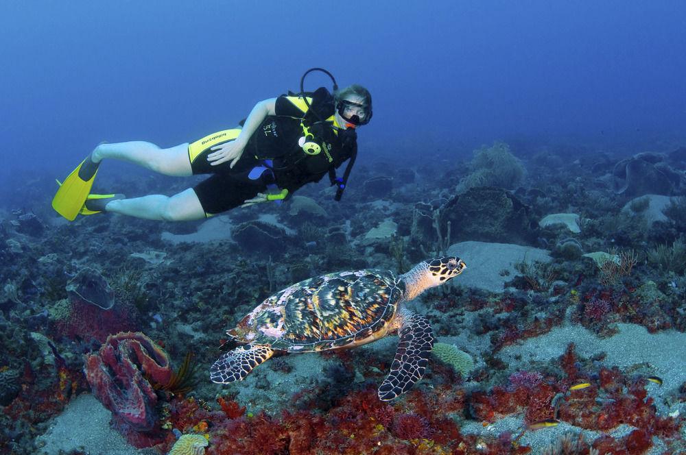 Jade Mountain Resort by null Jade Mountain Resort by null