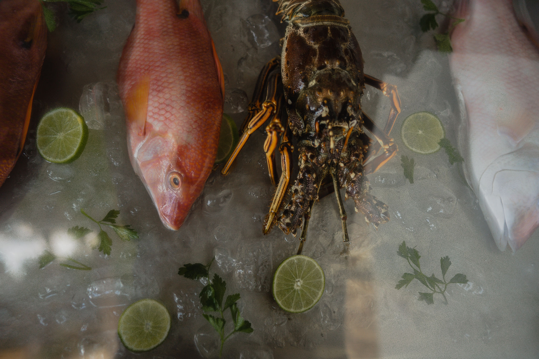 Chiringuito Tulum Hotel by null