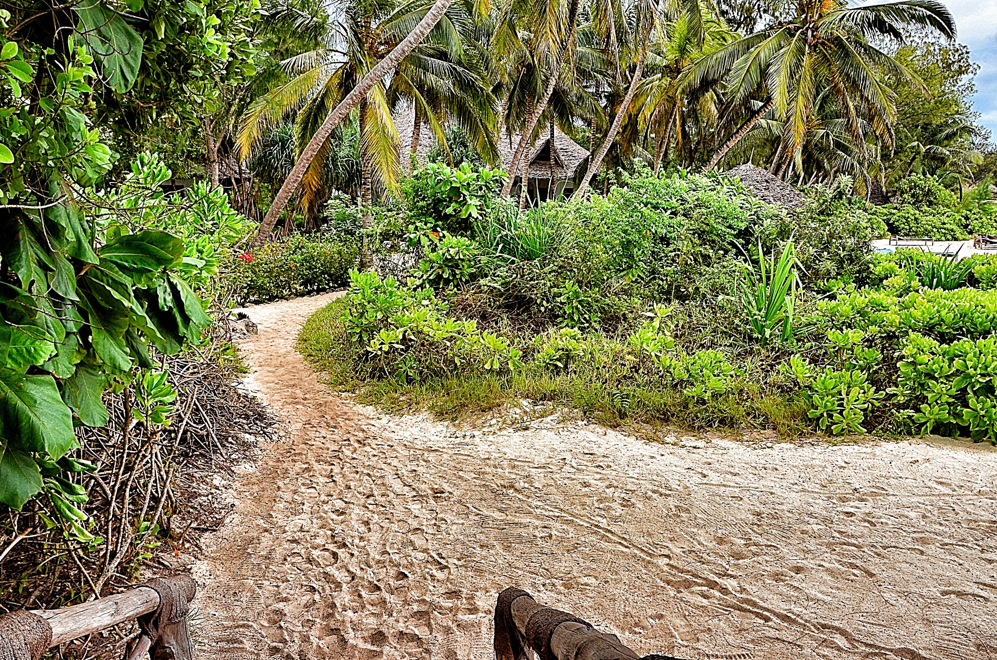 Pongwe Beach Hotel by null