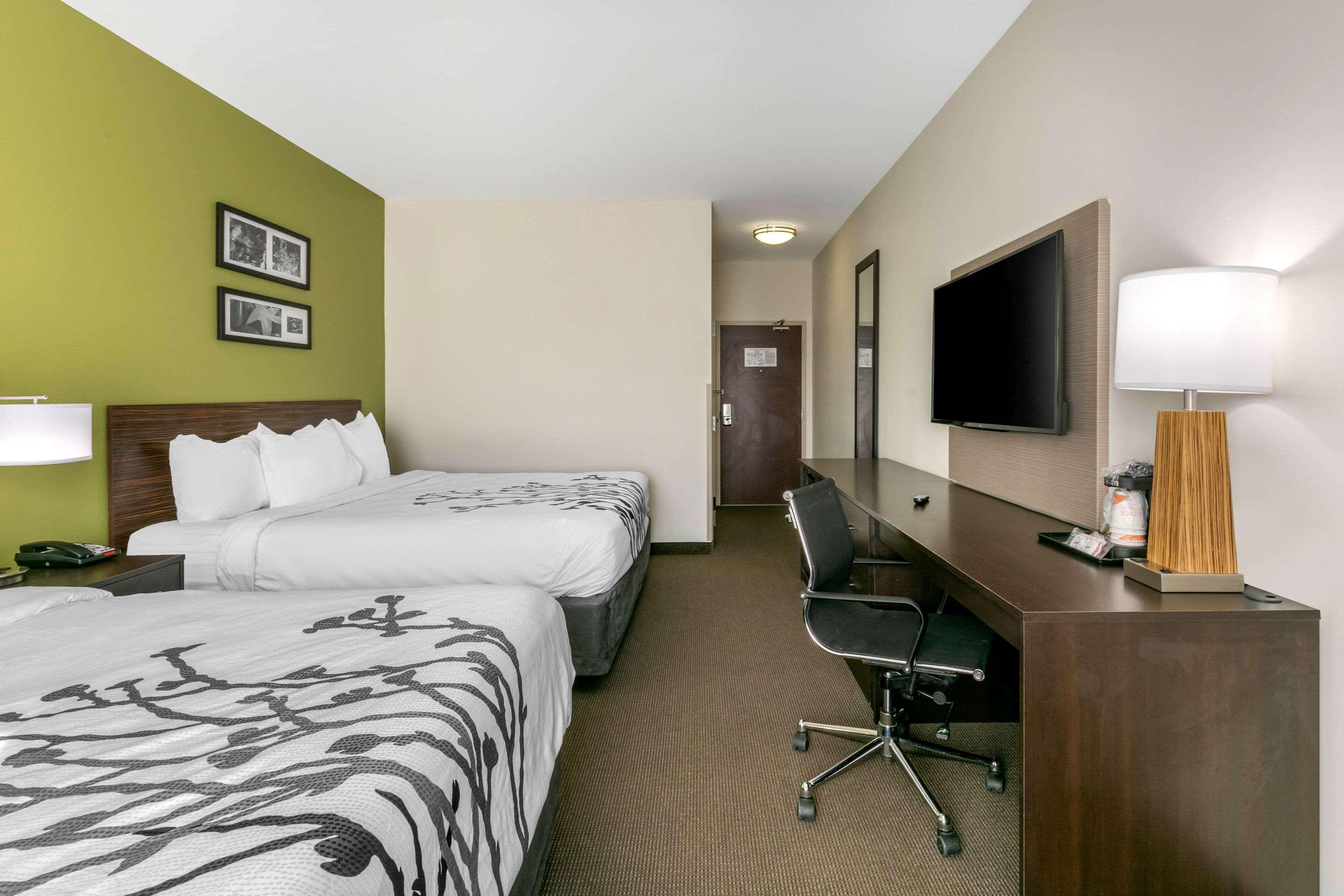 Quad room