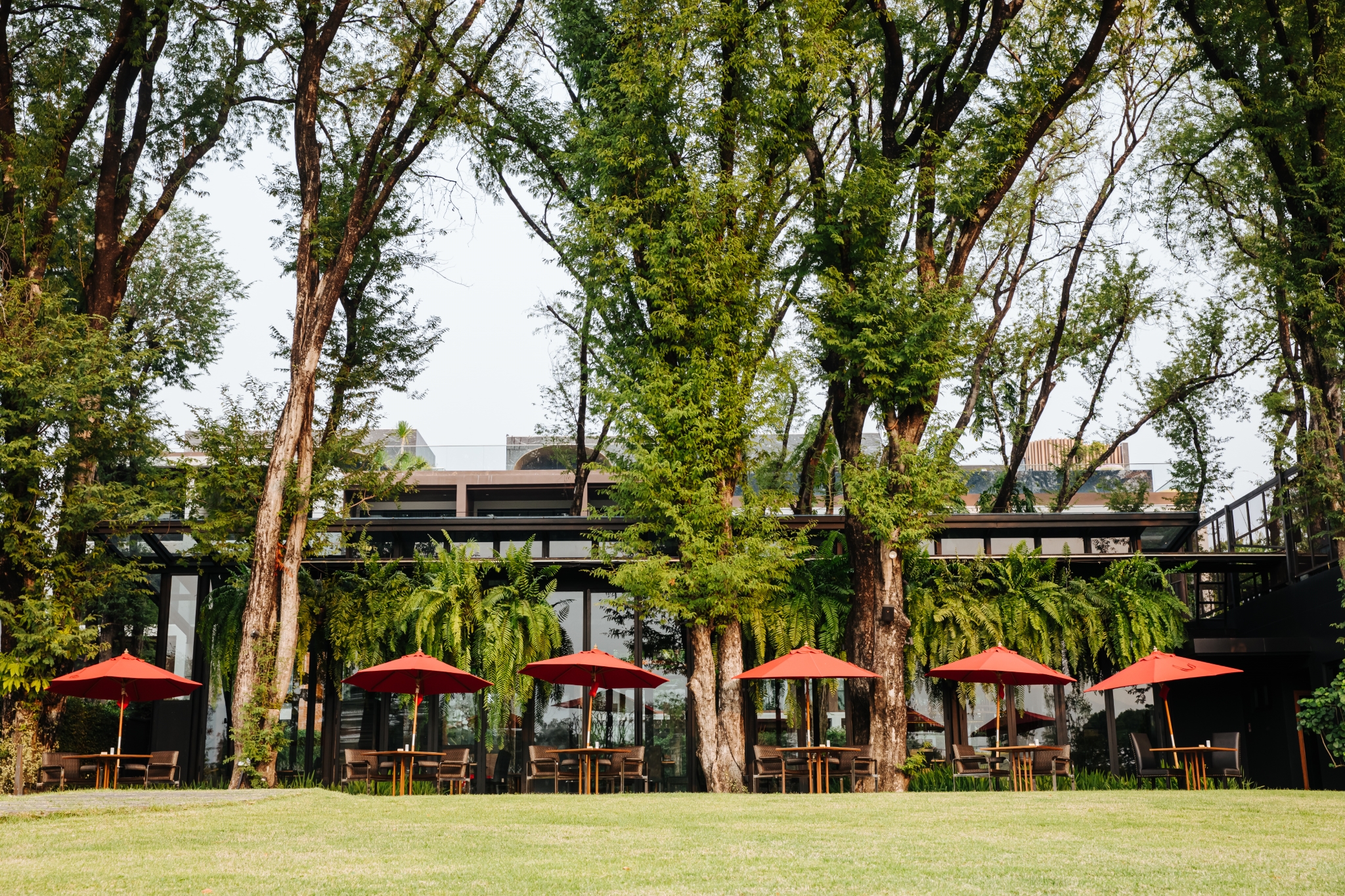 Cross Chiang Mai Riverside by null