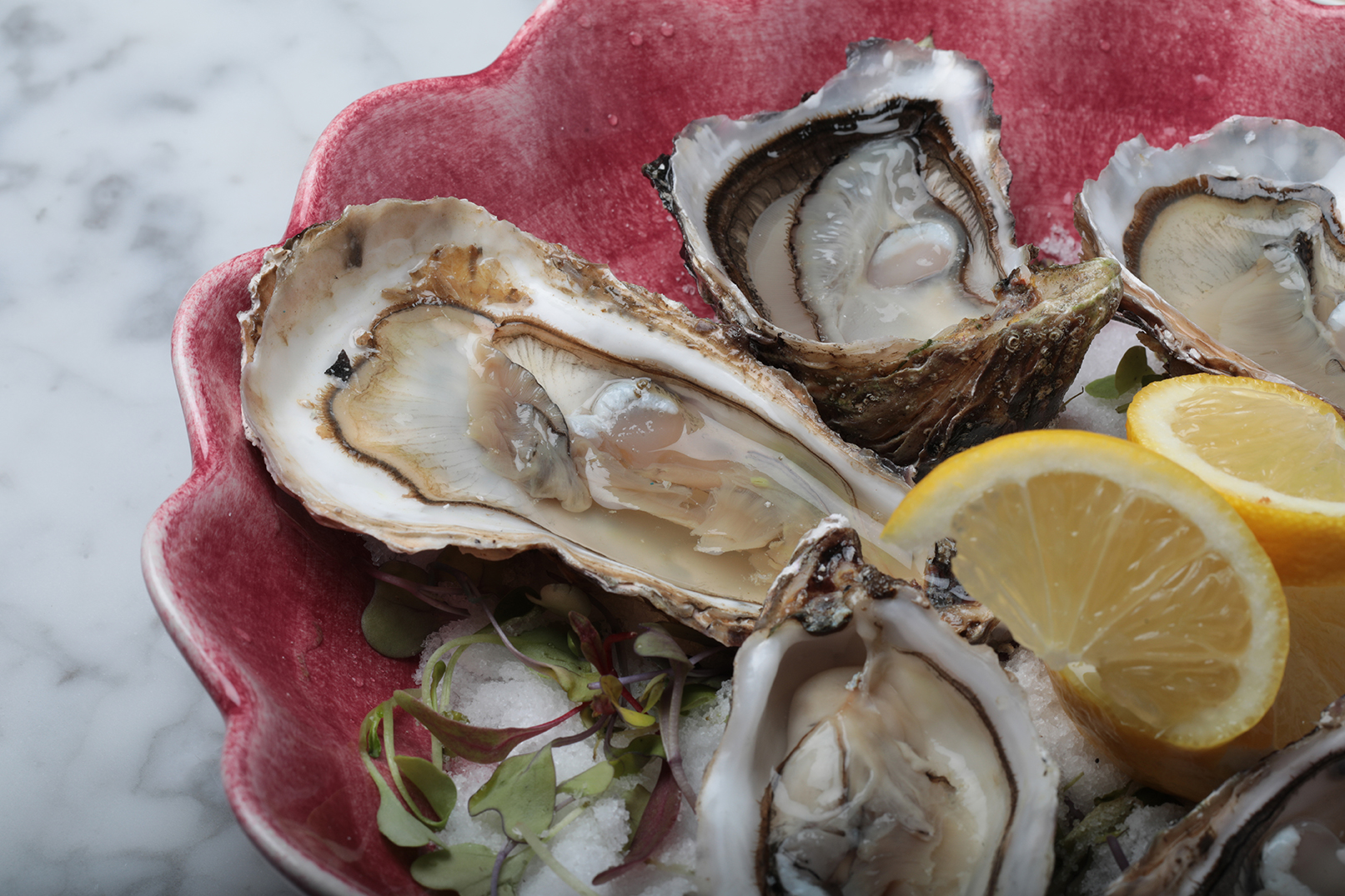 Summum Boutique Hotel, member of Meliá Collection by null