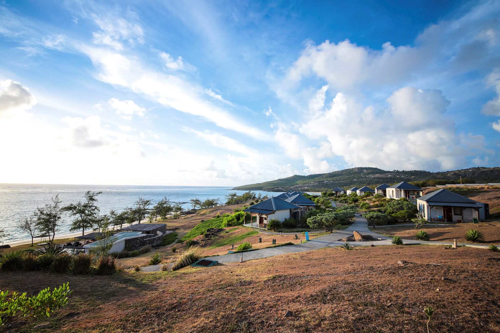 Constance Tekoma Rodrigues by null