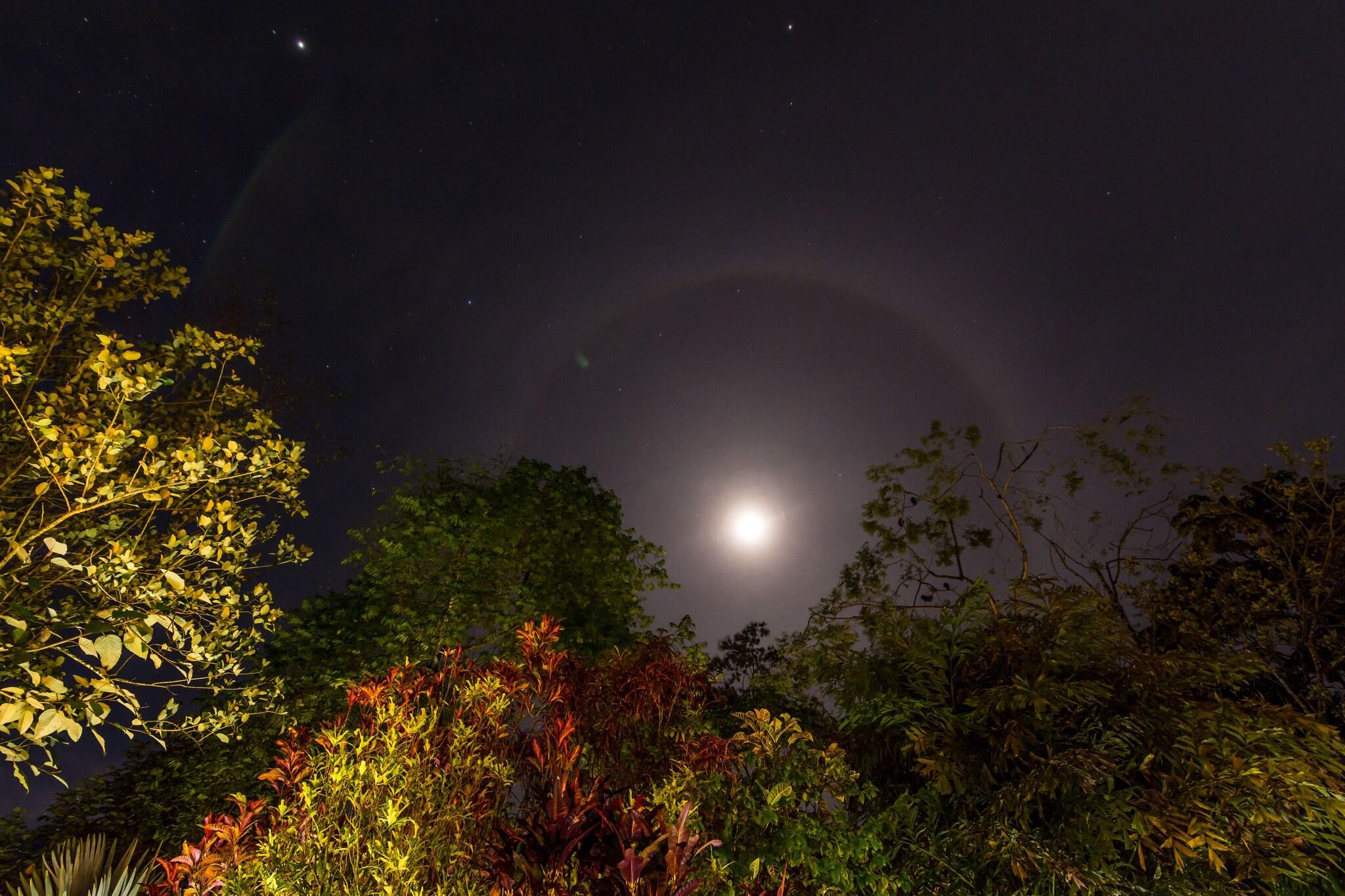 Hotel El Silencio del Campo by null