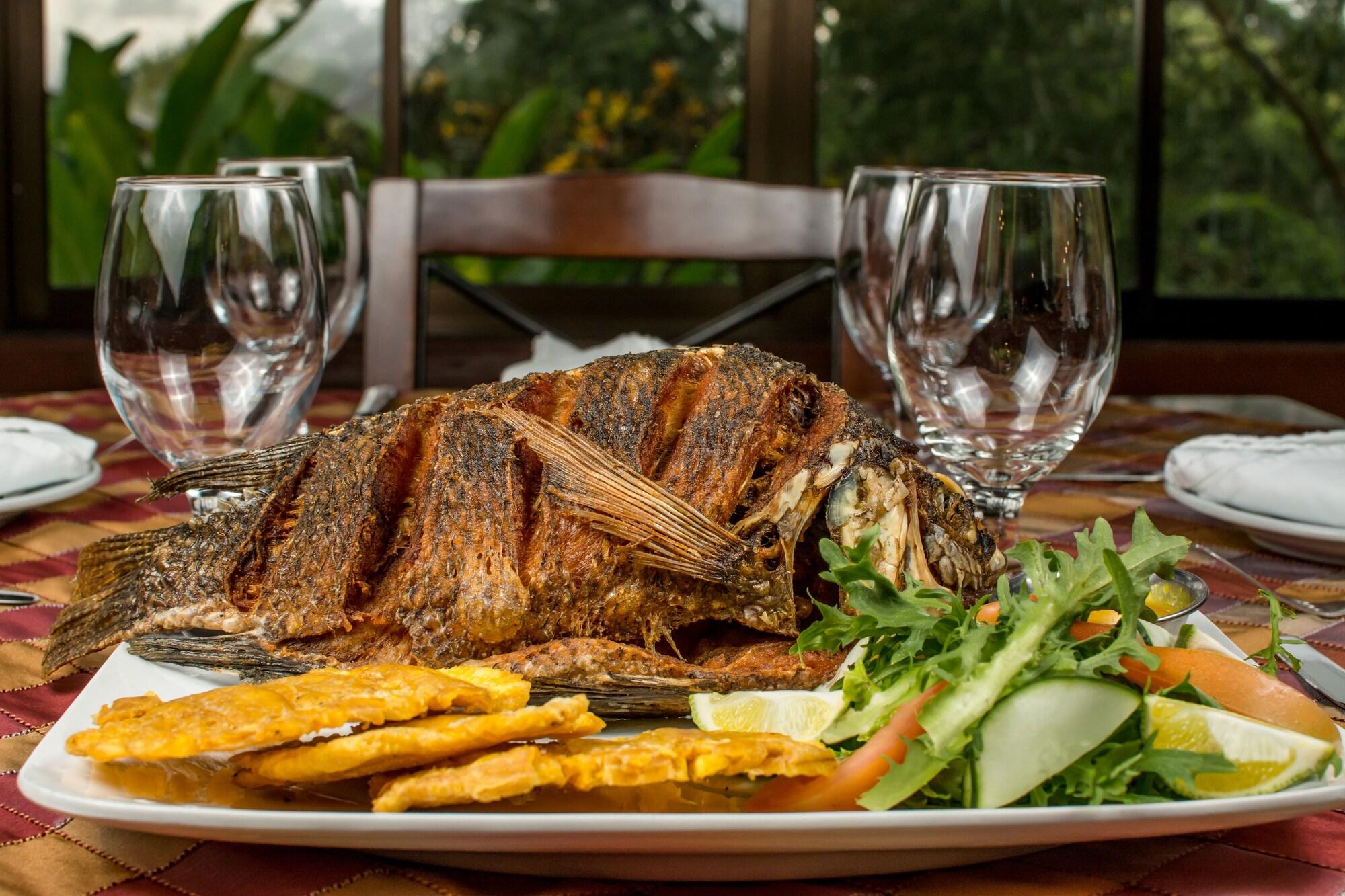 Hotel El Silencio del Campo by null